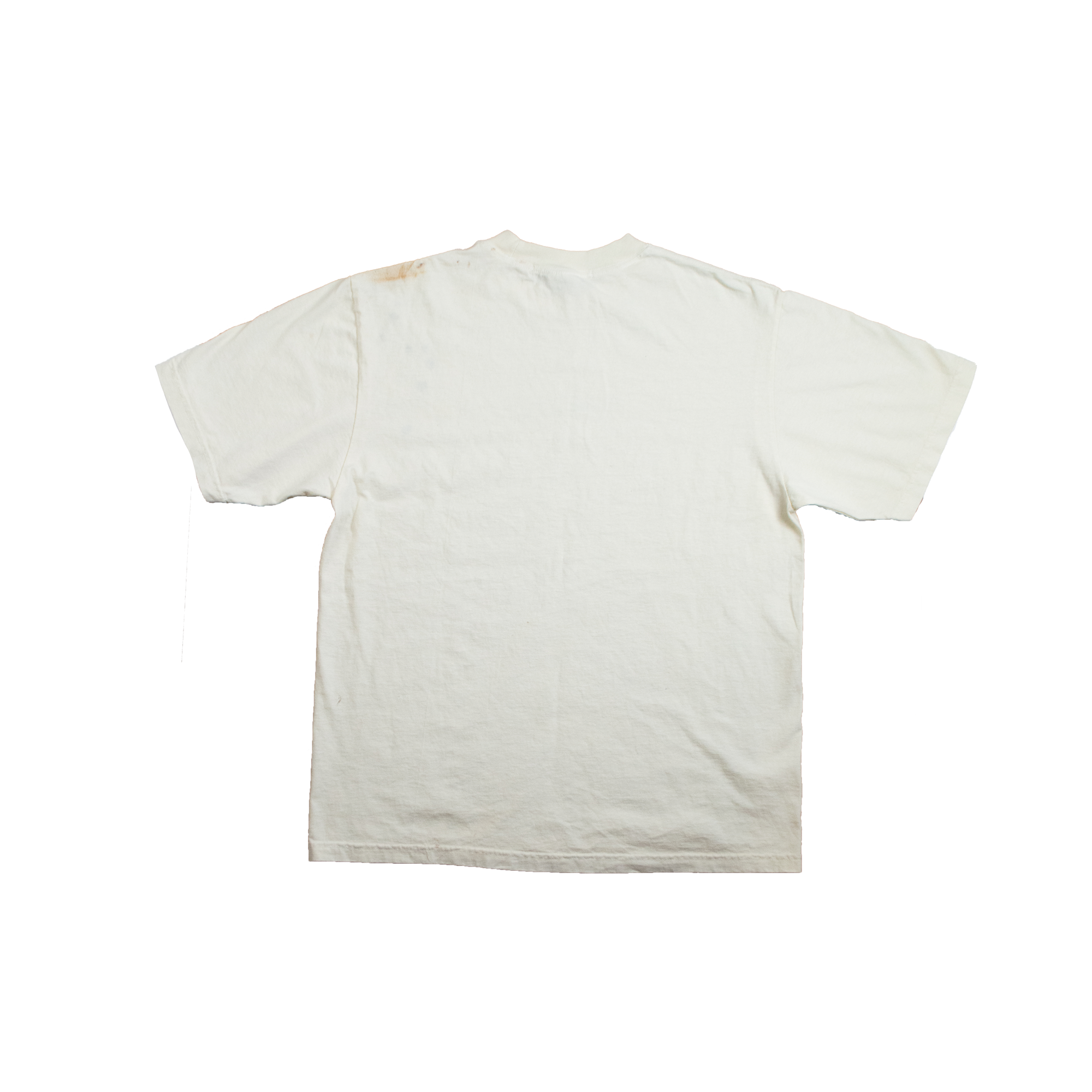 Layer 25.png
