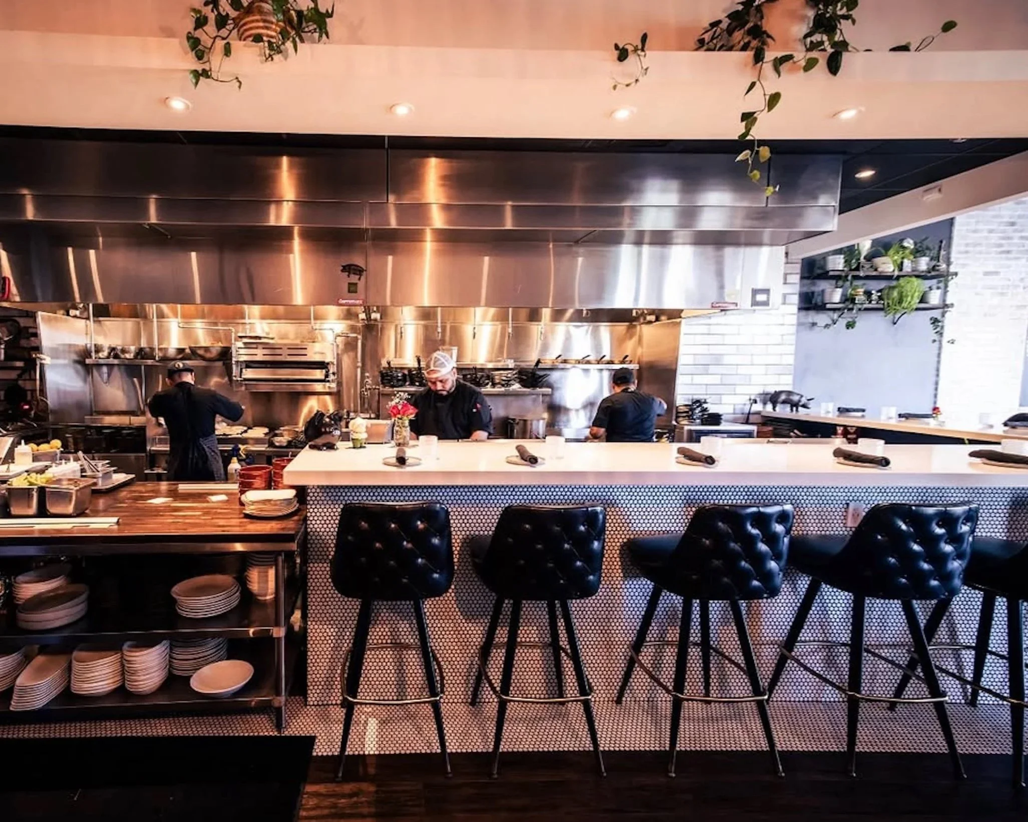 Coolinary &amp; The Parched Pig