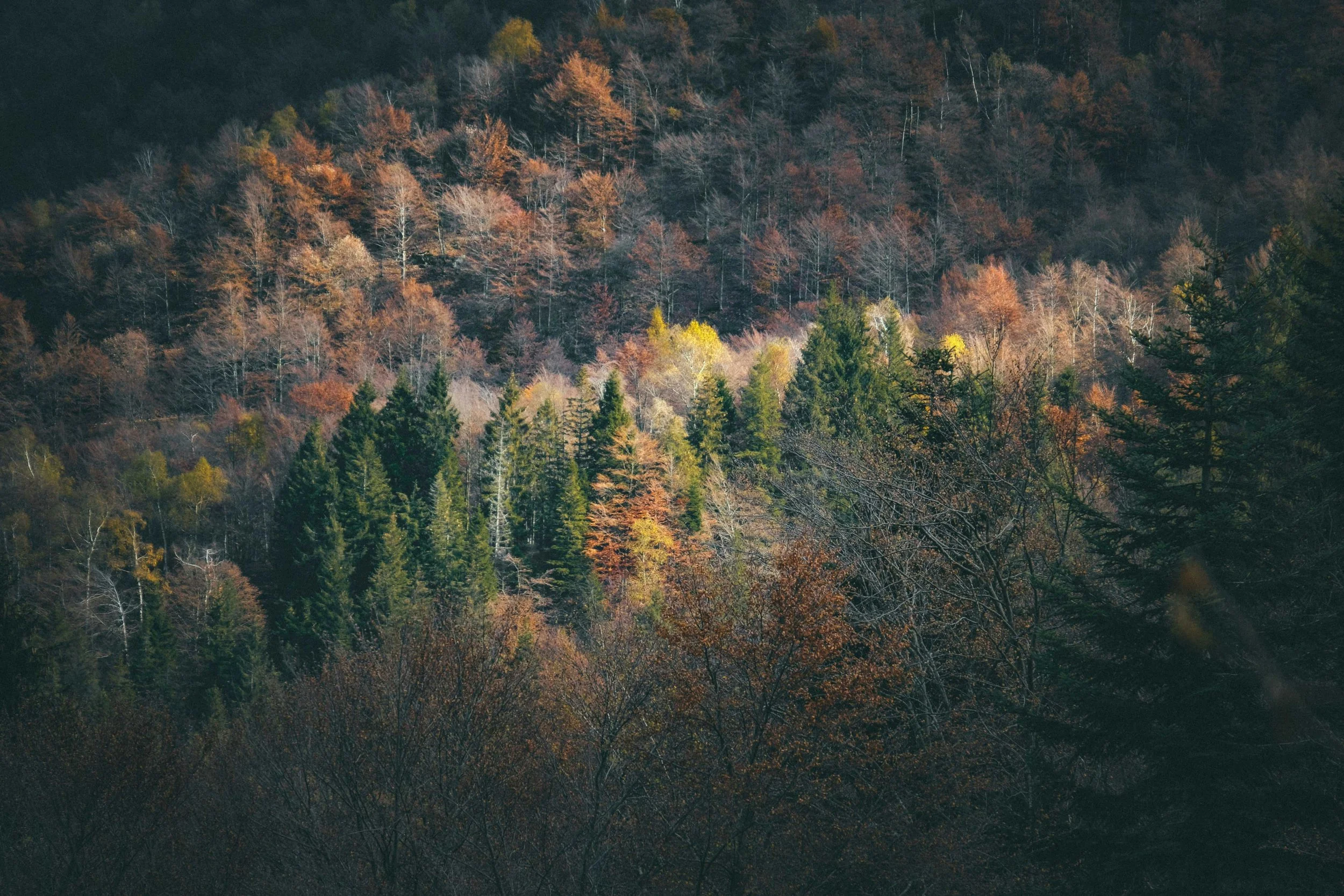 Piedmont, Italy