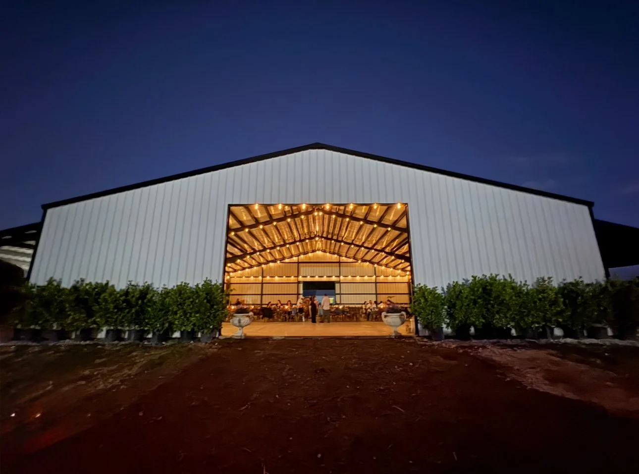 Getting to the Root of it: Ford’s Farm