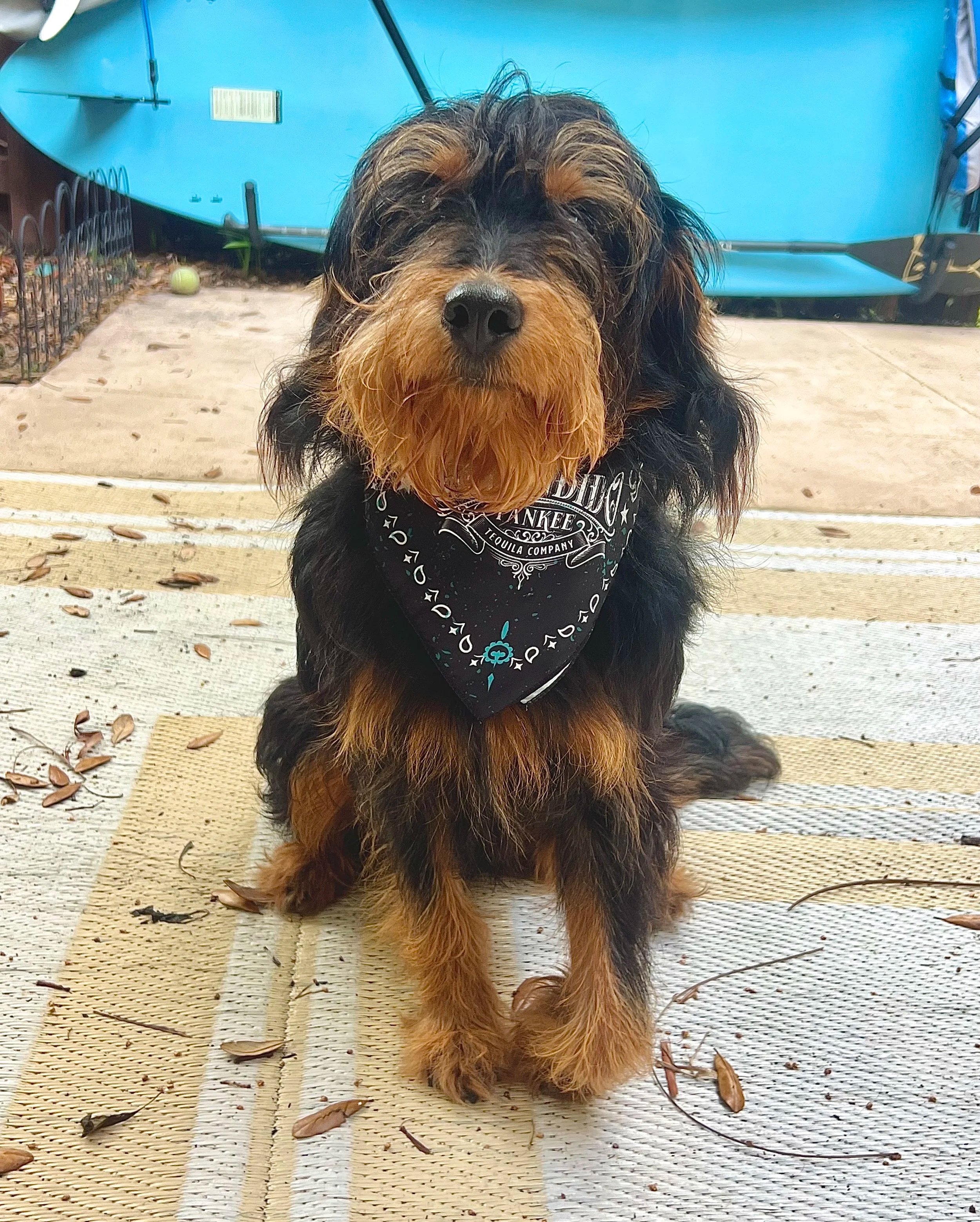 Bowie's a rebel. Be like Bowie.