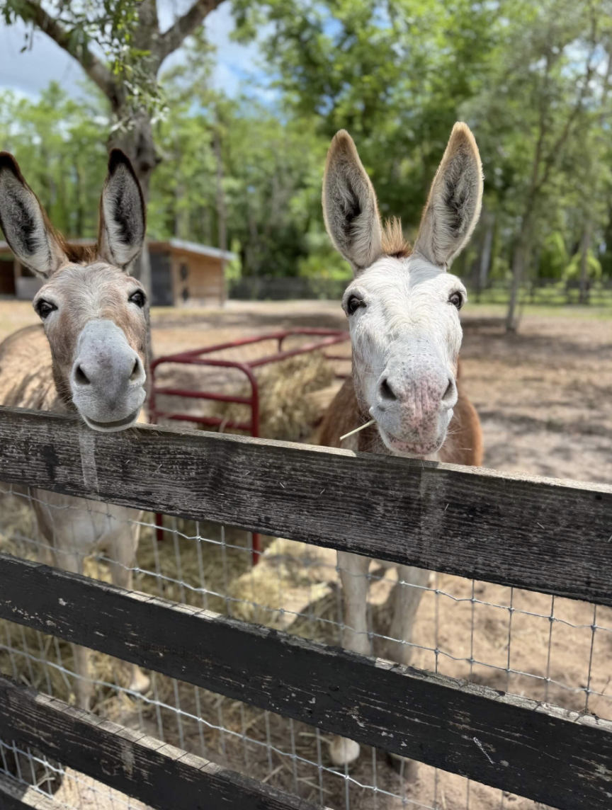 Screenshot 2026-03-04 at 12.07.51 PM.png