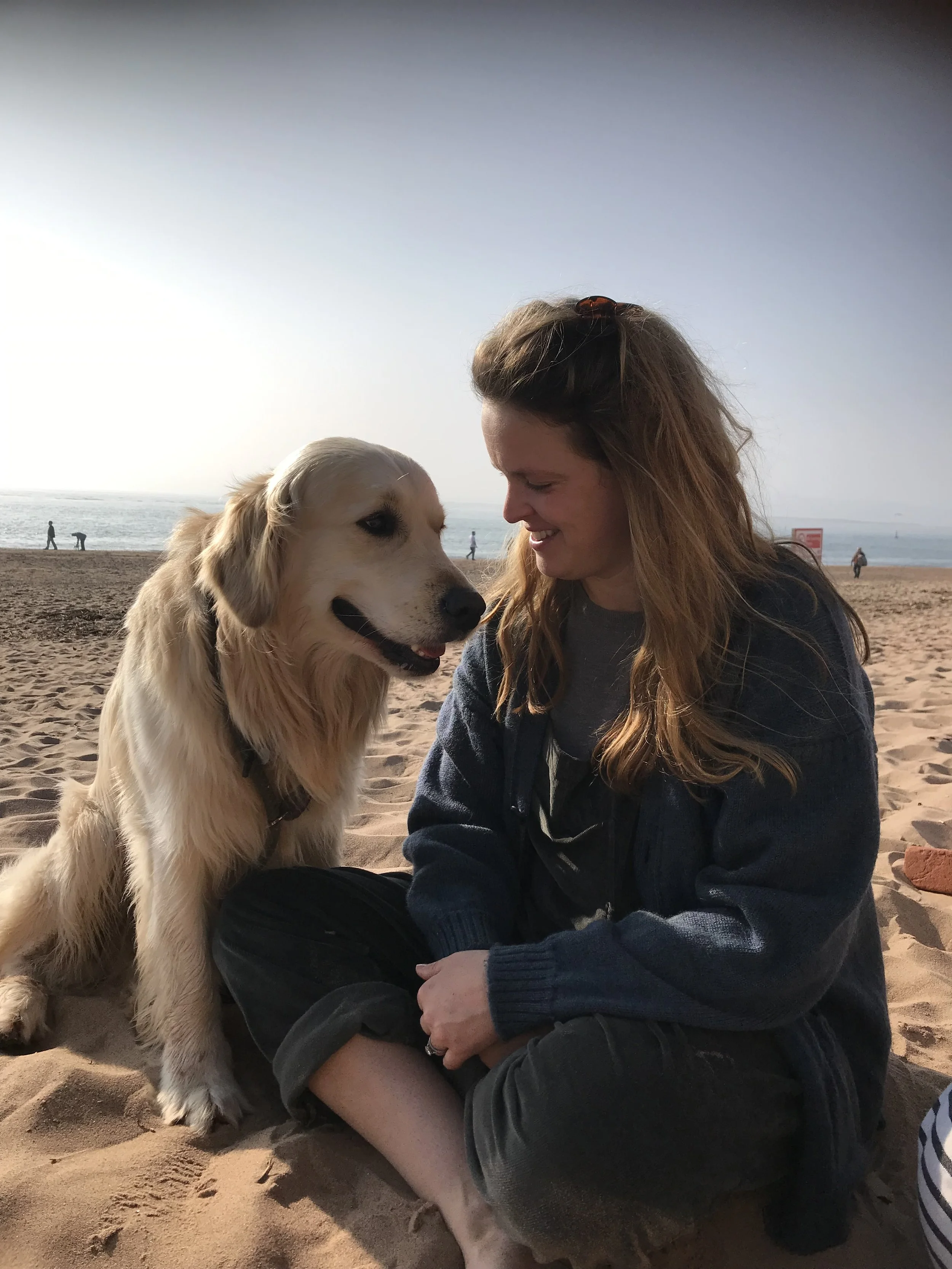 Django, the gentle giant dog, at Banwells