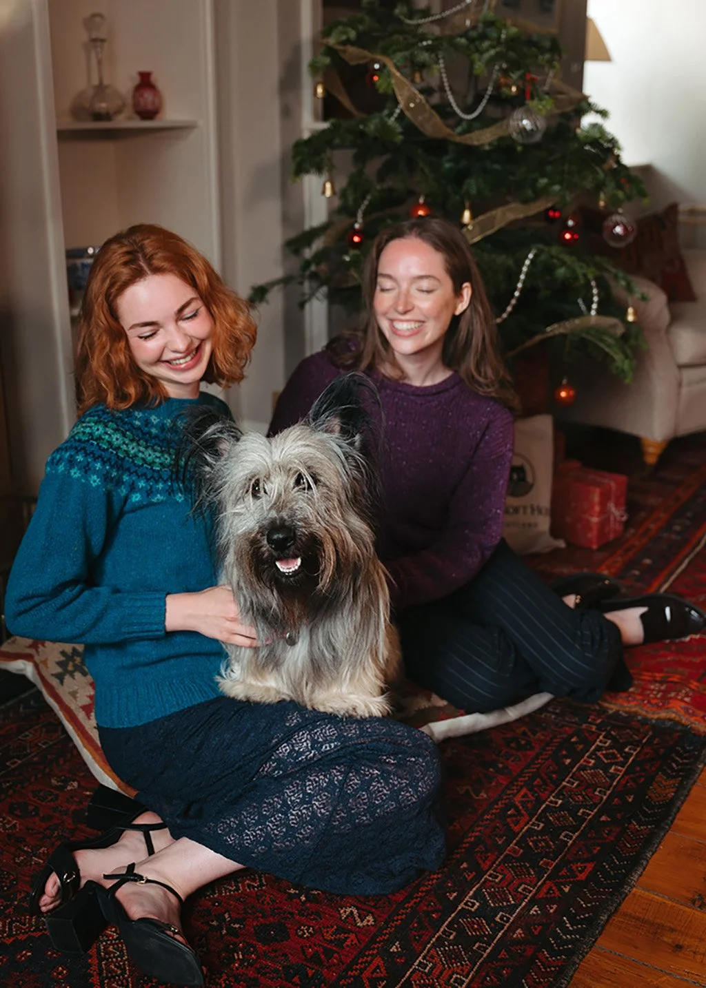 Dougal the Skye Terrier wearing a teal Fair Isle jumper, brand ambassador for The Croft House