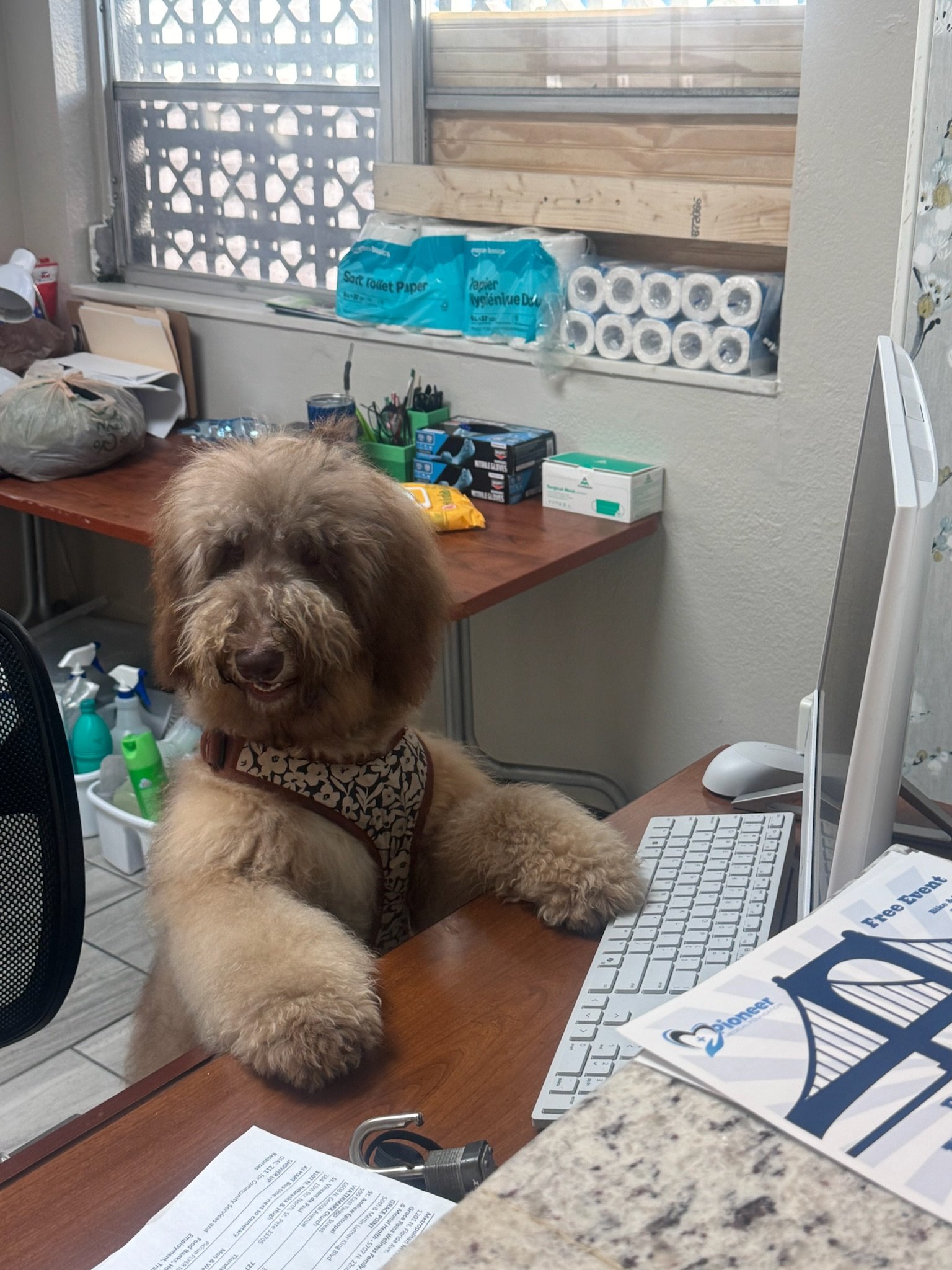 Revive &amp; Restore Boutique 