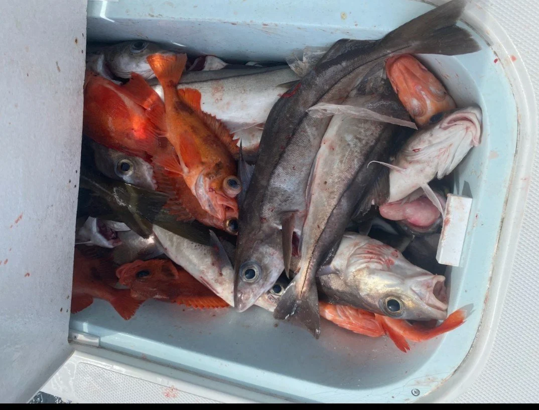 Haddock Fishing 2022 Report — Mouths of the Merrimack