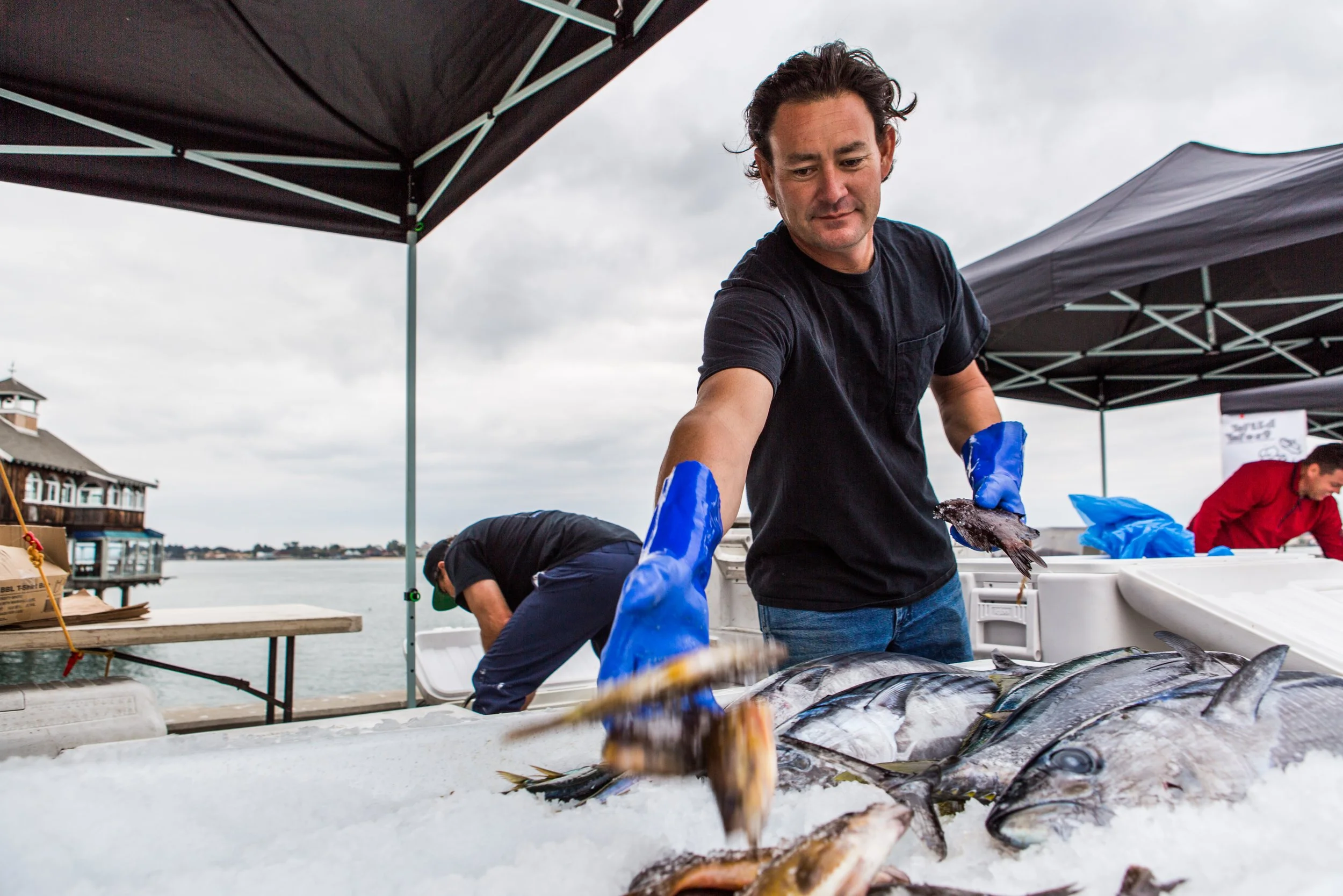 Increasing the Viability of Local Farms, Fisheries, Food Businesses, and Workers