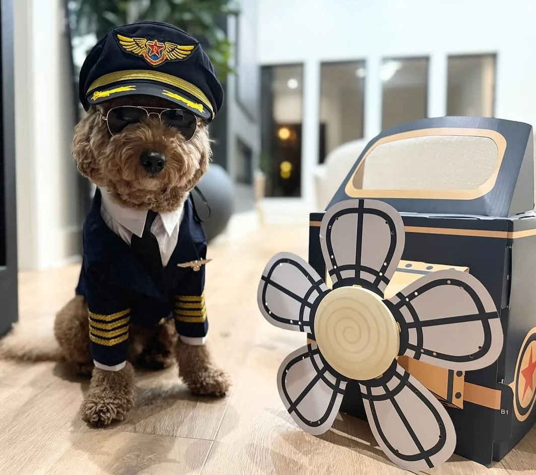 We had a record 200 + votes in our annual Pet Costume Contest, and with all the amazing entries this year we know it was a tough decision for all of you (and honestly, we are very glad we didn&rsquo;t have to decide!) Thank you to ALL our entries, wh
