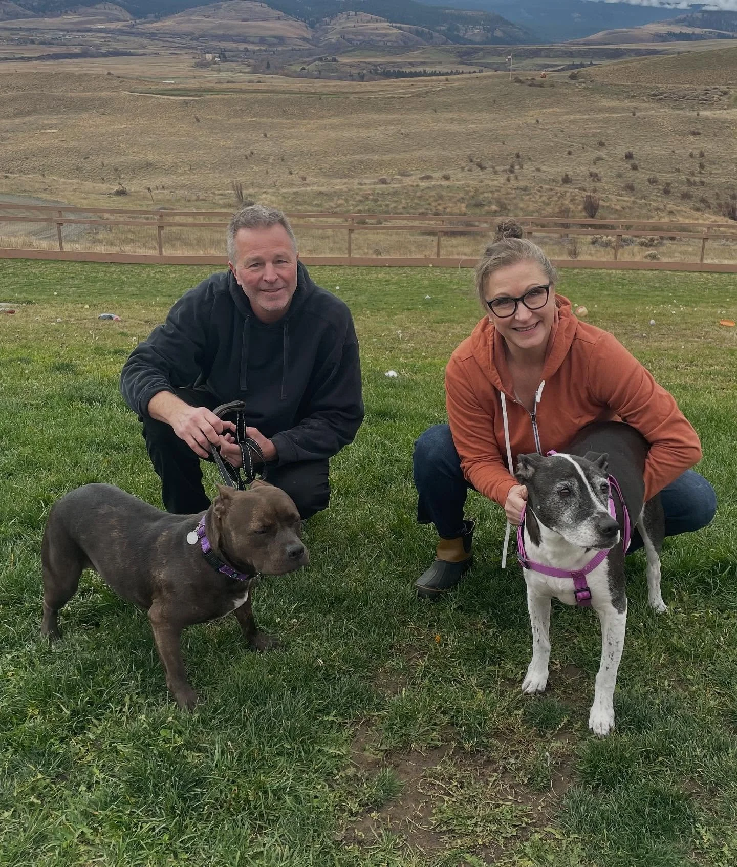 We are thrilled for Coco (bottom left) who went to her forever home with Seumas and Sara and their senior dog Sadie from Woodinville this weekend. Coco was found terrified and fending for herself and her three puppies underneath a house. She was very