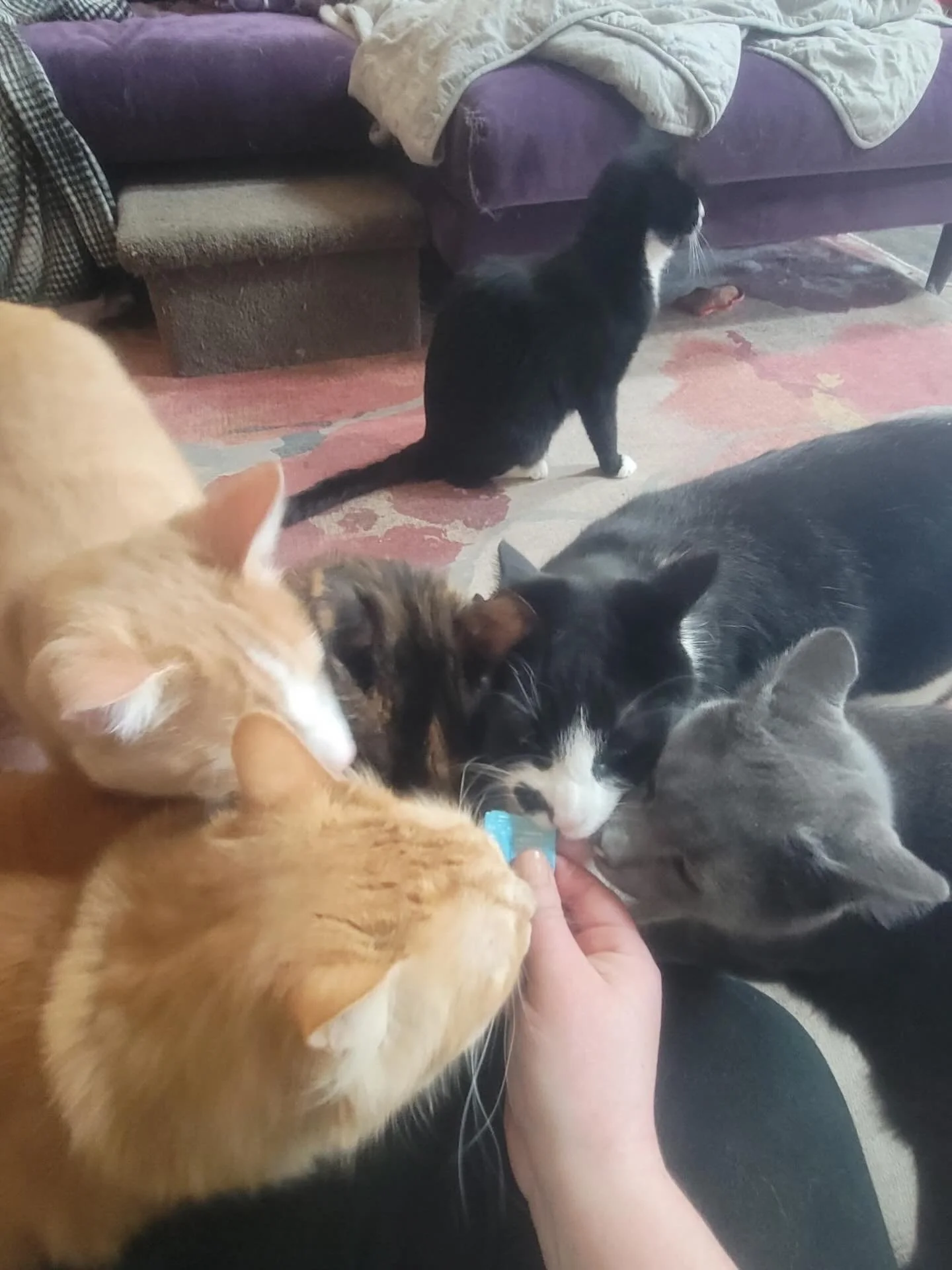 What happens when you open a Churro treat at the ranch&hellip;