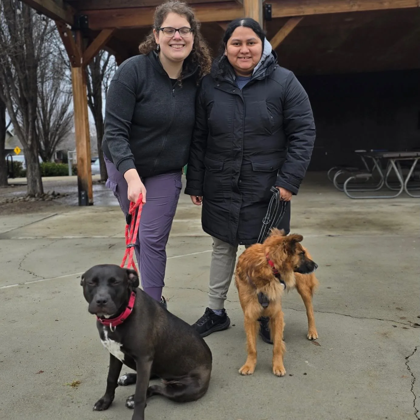 Congratulations to Rosayn and Maria from East Wenatchee who adopted Bailey (left) today! Rosayn and Maria recently lost their sweet 40-pound pit mix Kala, who died suddenly of suspected heart arrhythmia. While no one can fill the gap Kala left, they 