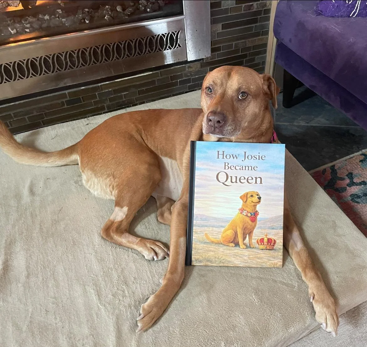 Book Signing at Buddy's Barkery!