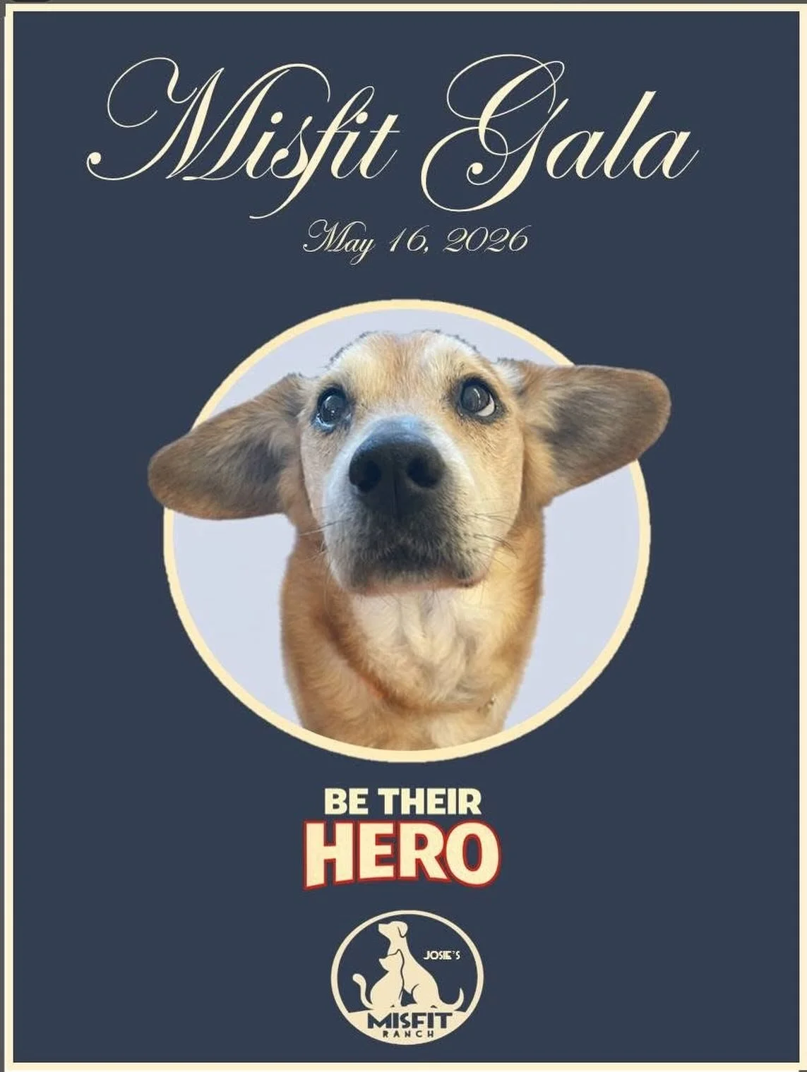 Tickets are now on sale for our Misfit Gala, our biggest fundraiser of the year. The Gala allows us to help more animals wounded in body and spirit and give them hope. You can be their hero by attending and participating in a very special night devot