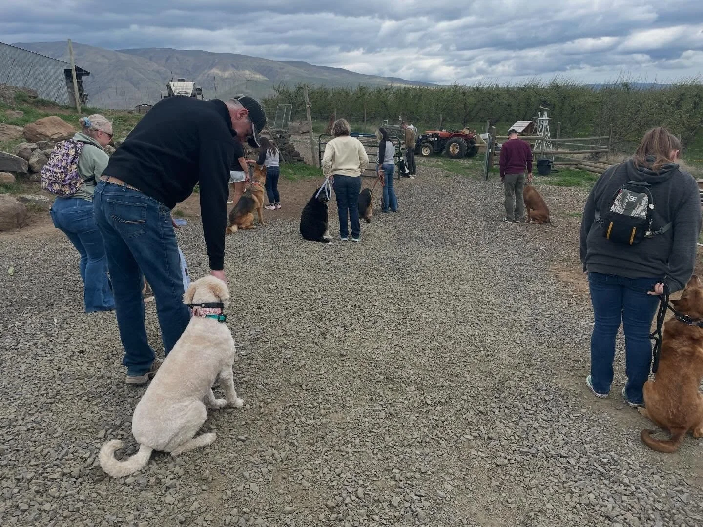 Some of our fosters and operations team got to spend the morning at Hounds from Hell Dog Training in Tieton to learn techniques for helping prepare dogs for their forever homes. We went over the importance of having dogs &ldquo;place&rdquo; and learn
