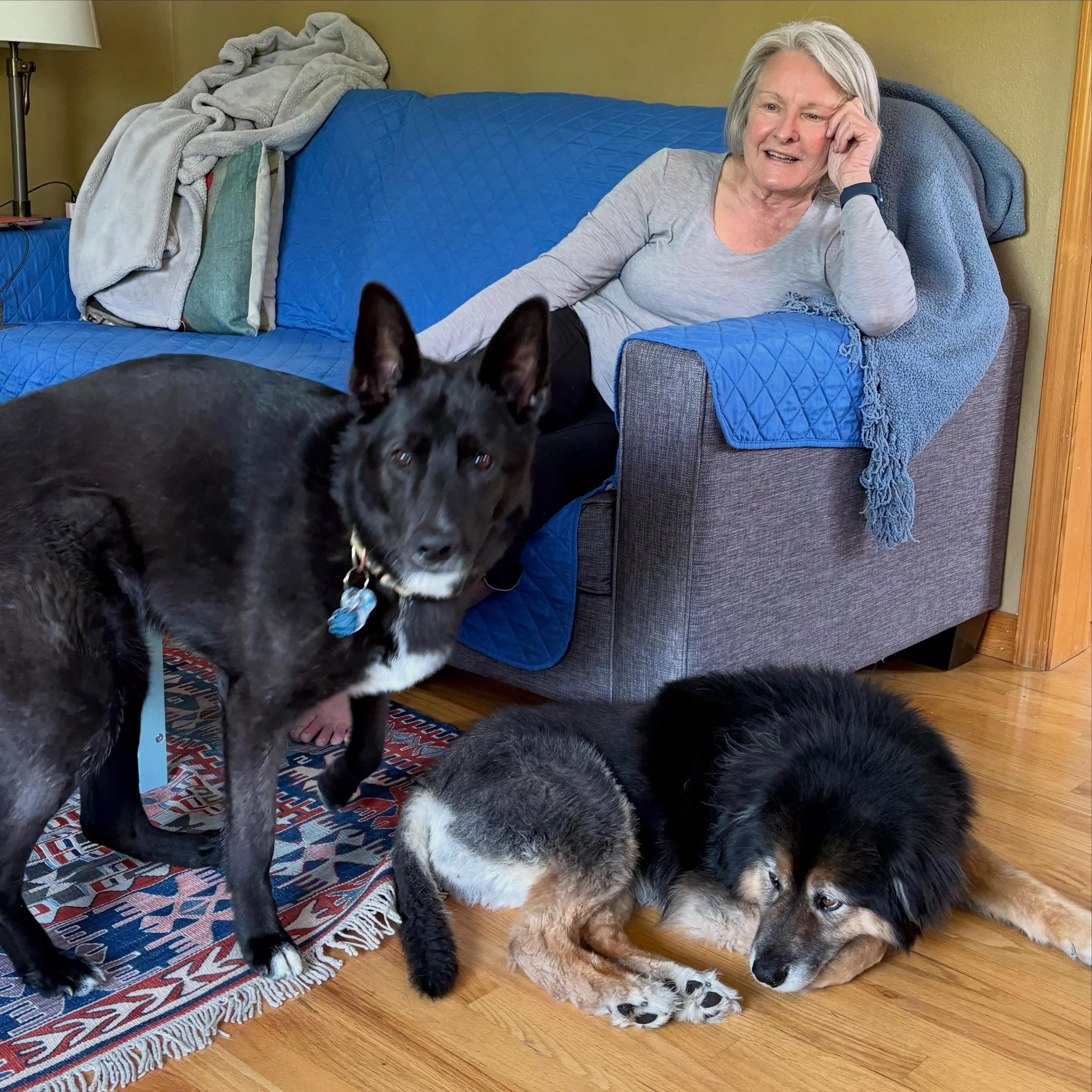 Sweet Fiona (right) finally found her senior human Mary and has a new man in her life, Pete. Fiona and her partner Prince Charming came to us from the shelter after being found as strays. They were both seniors and both very sweet, but unfortunately 