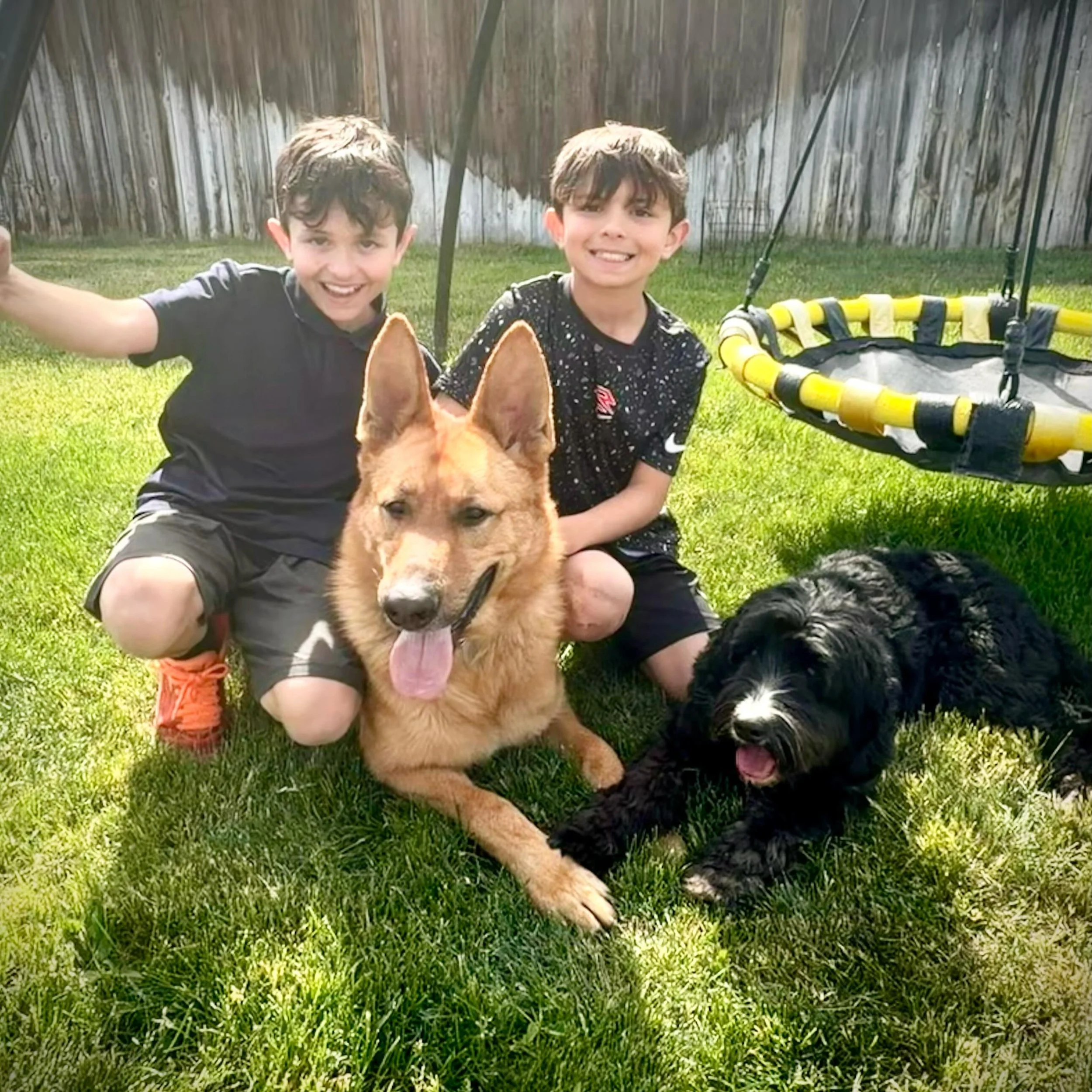 Do you believe in love at first sight? We do! It took exactly 5 minutes for fosters Josh and Janessa to fall in love with Radar, a beautiful German shepherd. Radar had finished training with our friends at Hounds from Hell and needed a foster. We cal