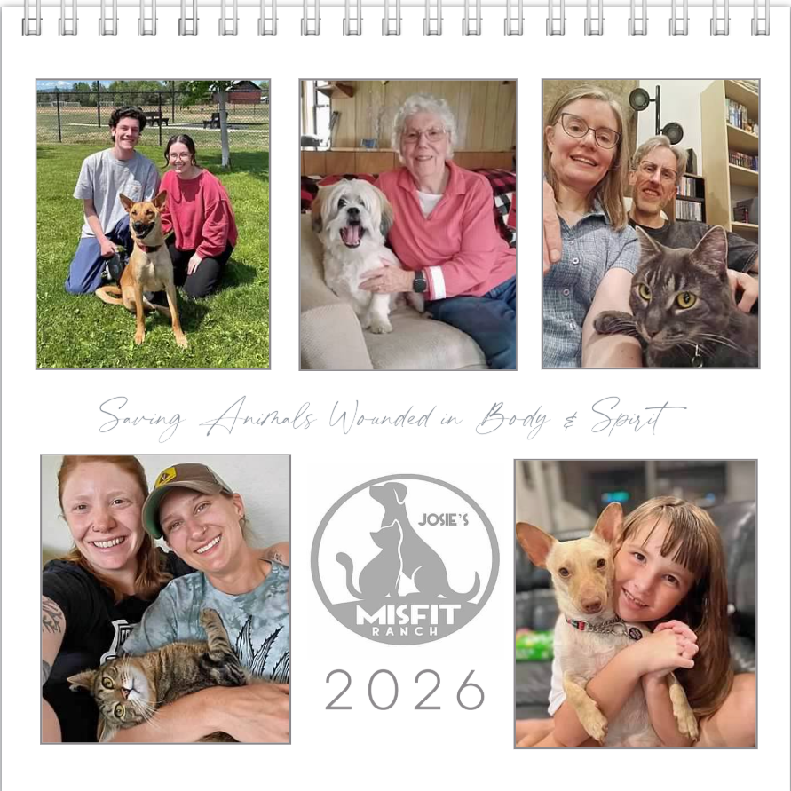 Screenshot 2025-11-28 100138.png