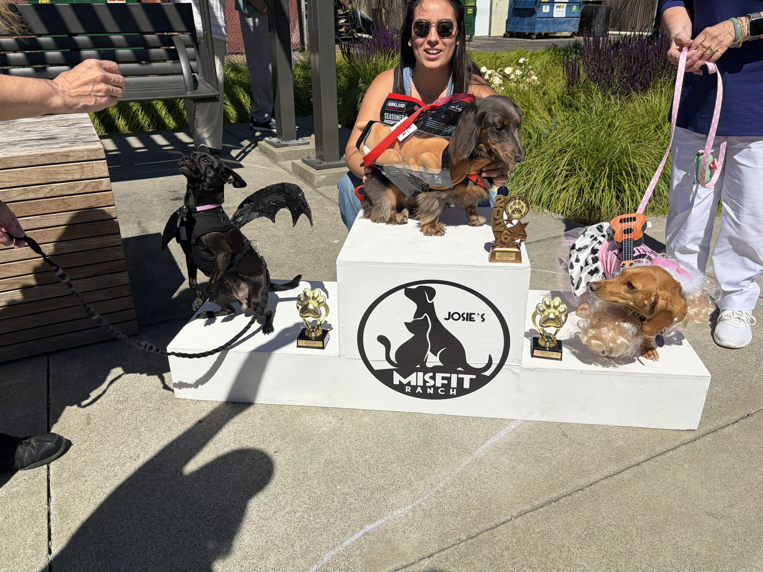 Winners of our Dog Only Costume Contest: 1st Place: Lindsay Valdez, Delta – Rotisserie Chicken; 2nd Place: Deborah Smith, Doggie Parton; 3rd Place: 
Beverly Lenius, Koffee the Bat
