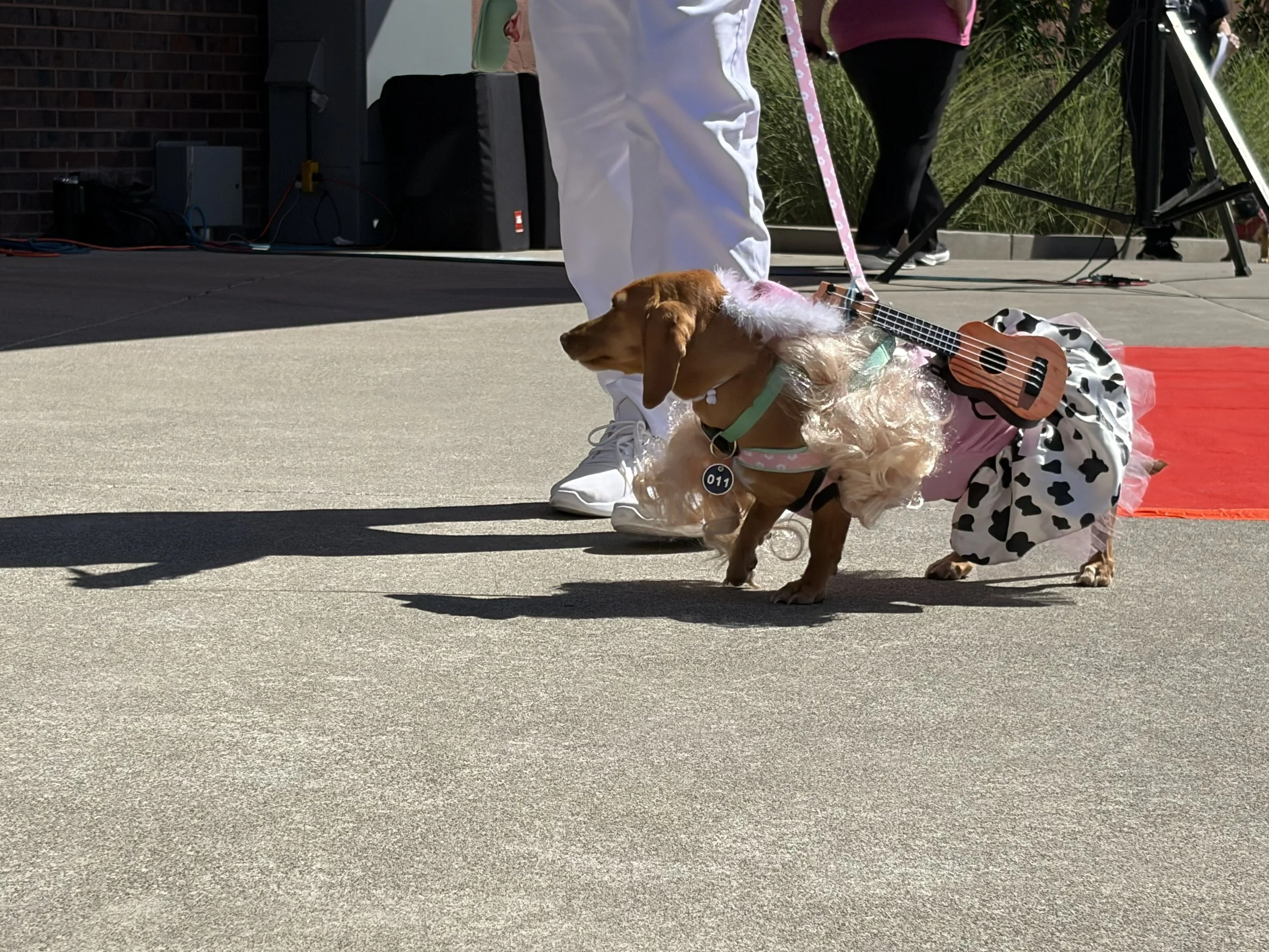 2nd Place: Deborah Smith, Doggie Parton