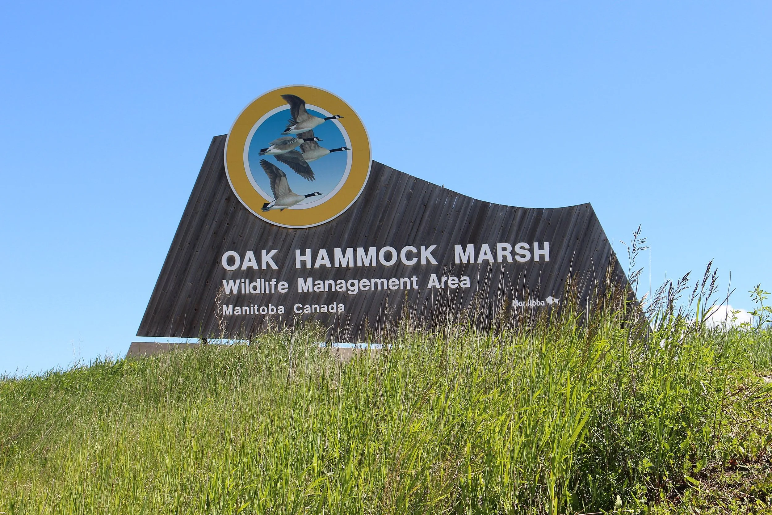 Oak_Hammock_Marsh_Sign_(48241169191).jpg