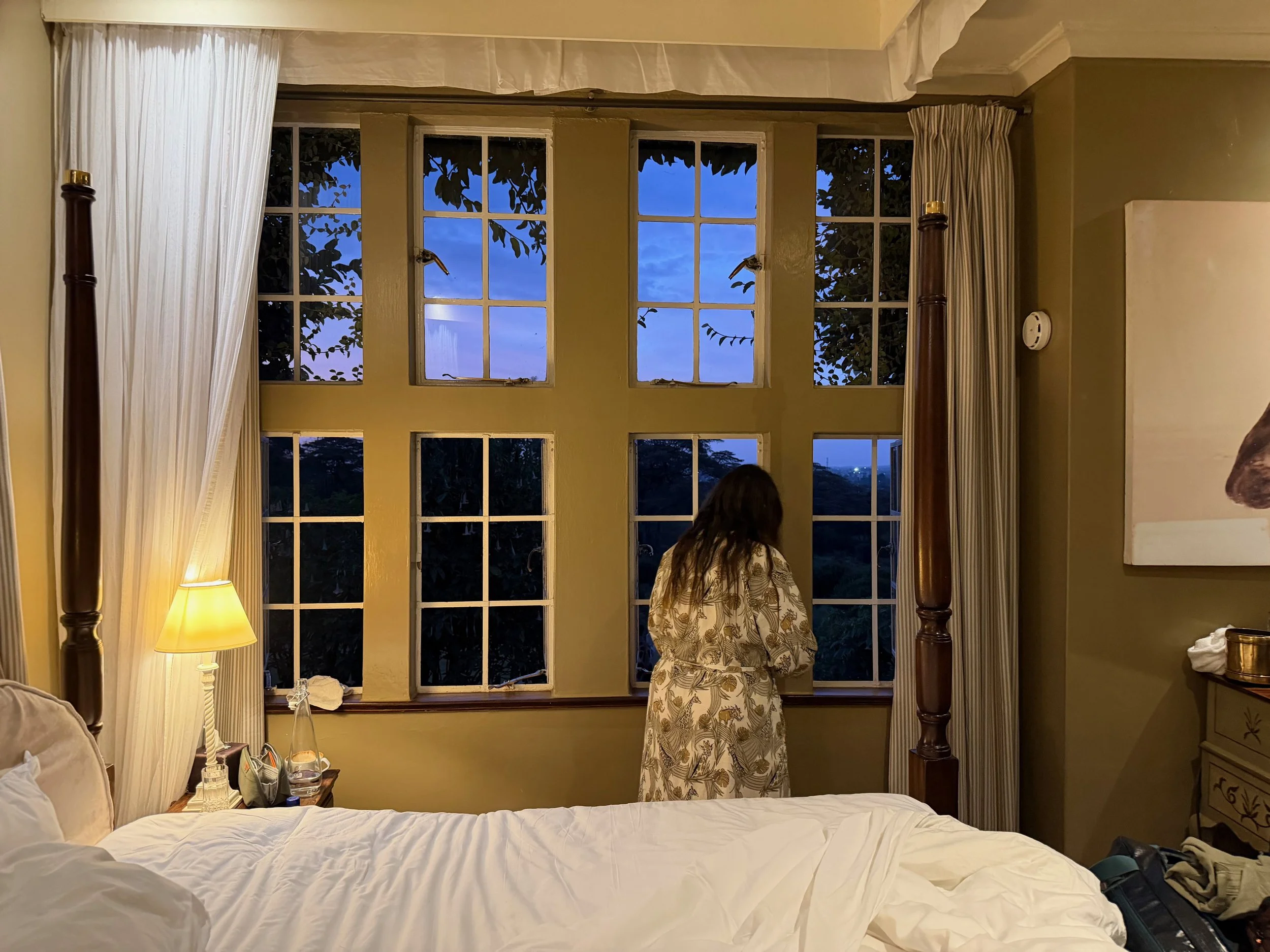 giraffe manor room