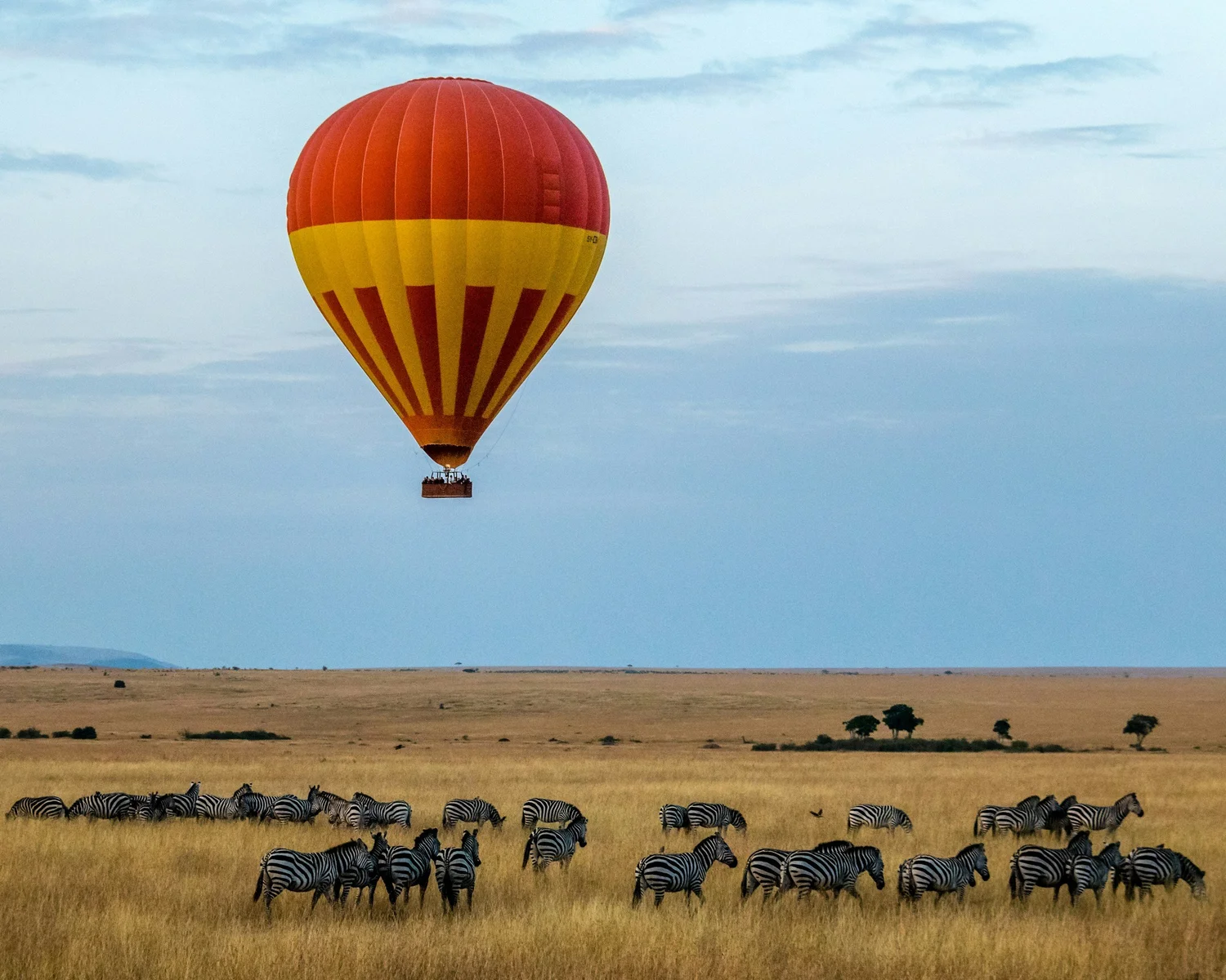 Hot air balloon flying over a herd of zebras in an open plain.