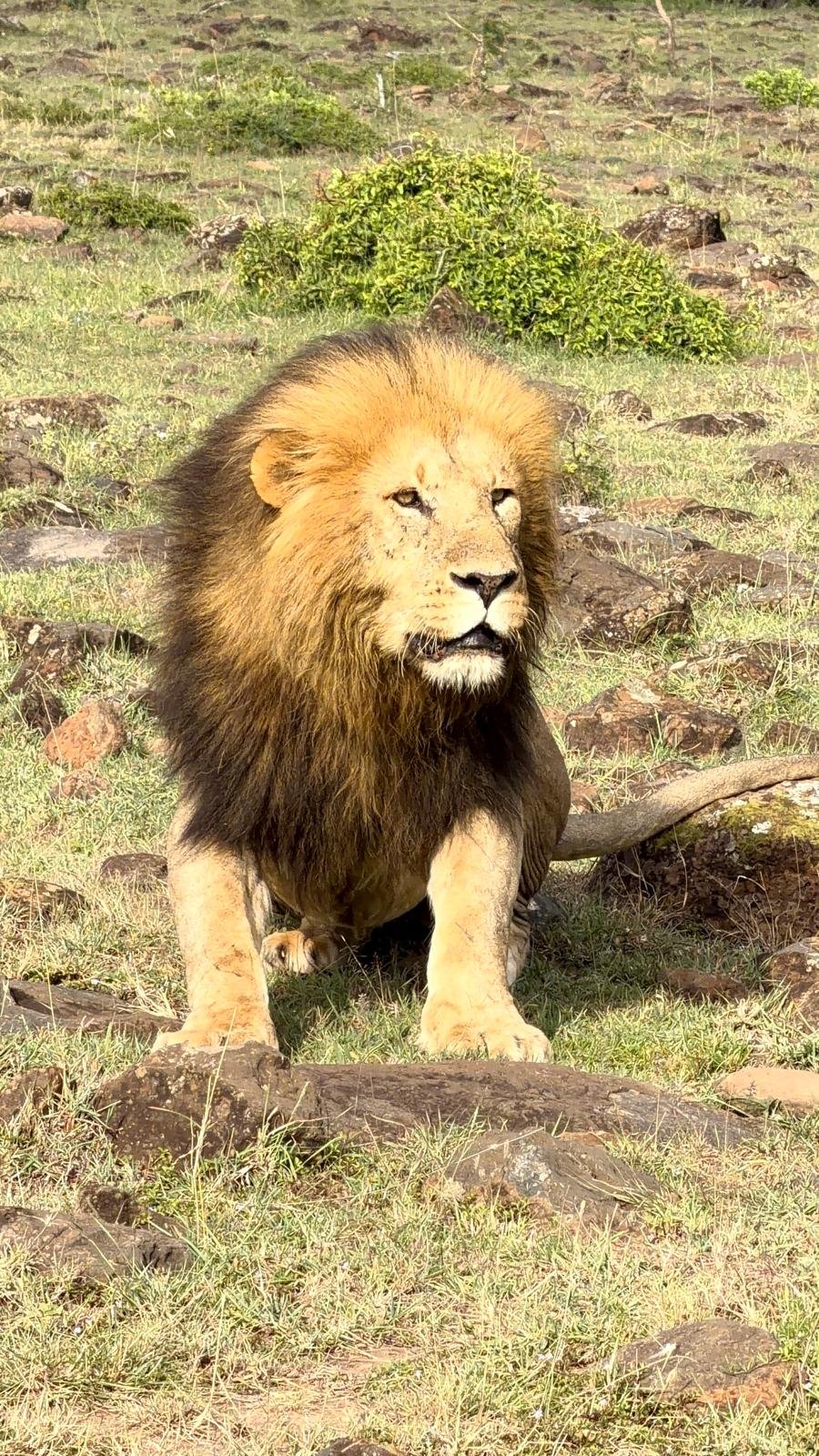 WhatsApp Image 2026-02-19 at 11.48.18 (6).jpeg