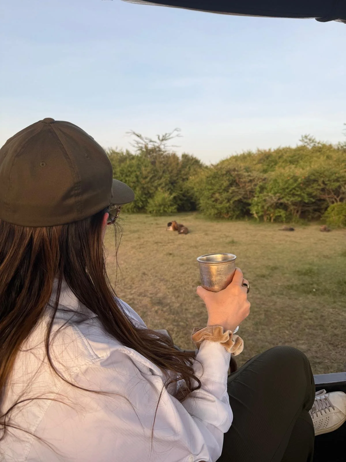 WhatsApp Image 2026-02-19 at 11.48.17 (3).jpeg