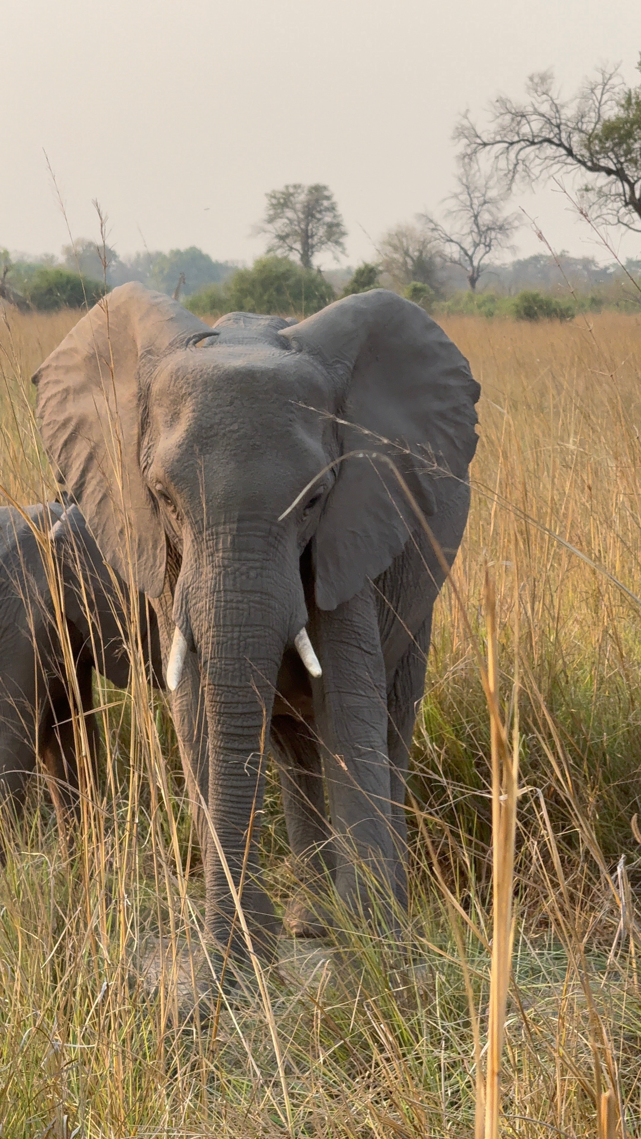 North Island - 14.png