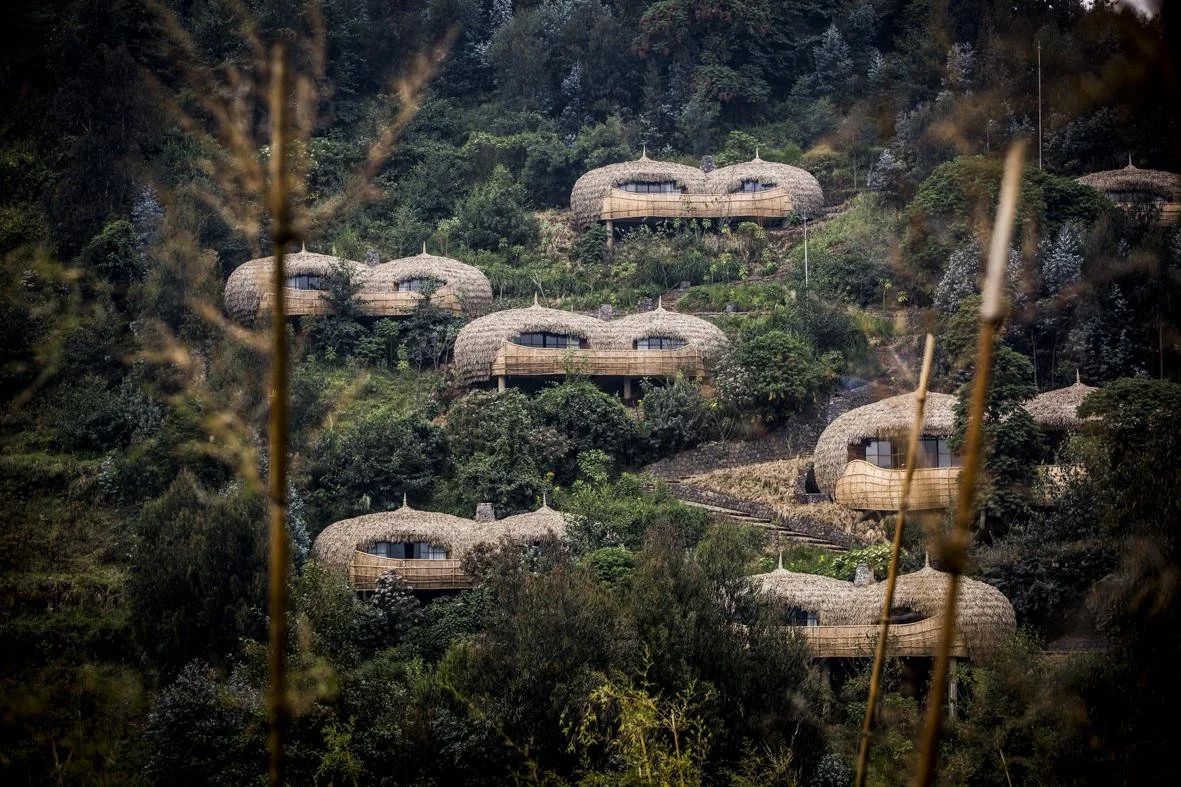 Review: Wilderness Bisate Lodge, Rwanda