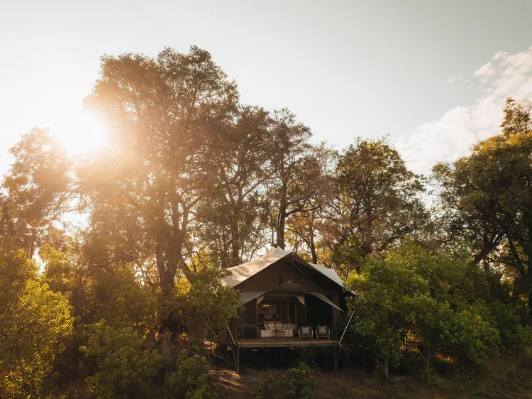 Tented suite among the trees at Wilderness Chitabe Camp, Okavango Delta