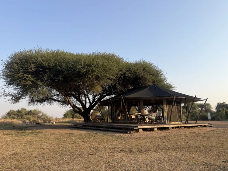 Mila's main tent beneath an acacia tree in the Western Serengeti, Tanzania