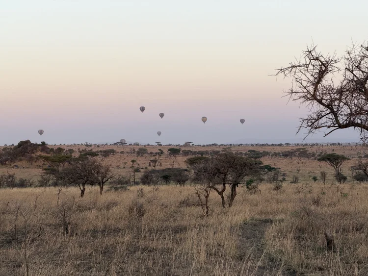 Hot-air balloons over the central Serengeti at dawn, near Lemala Nanyukie