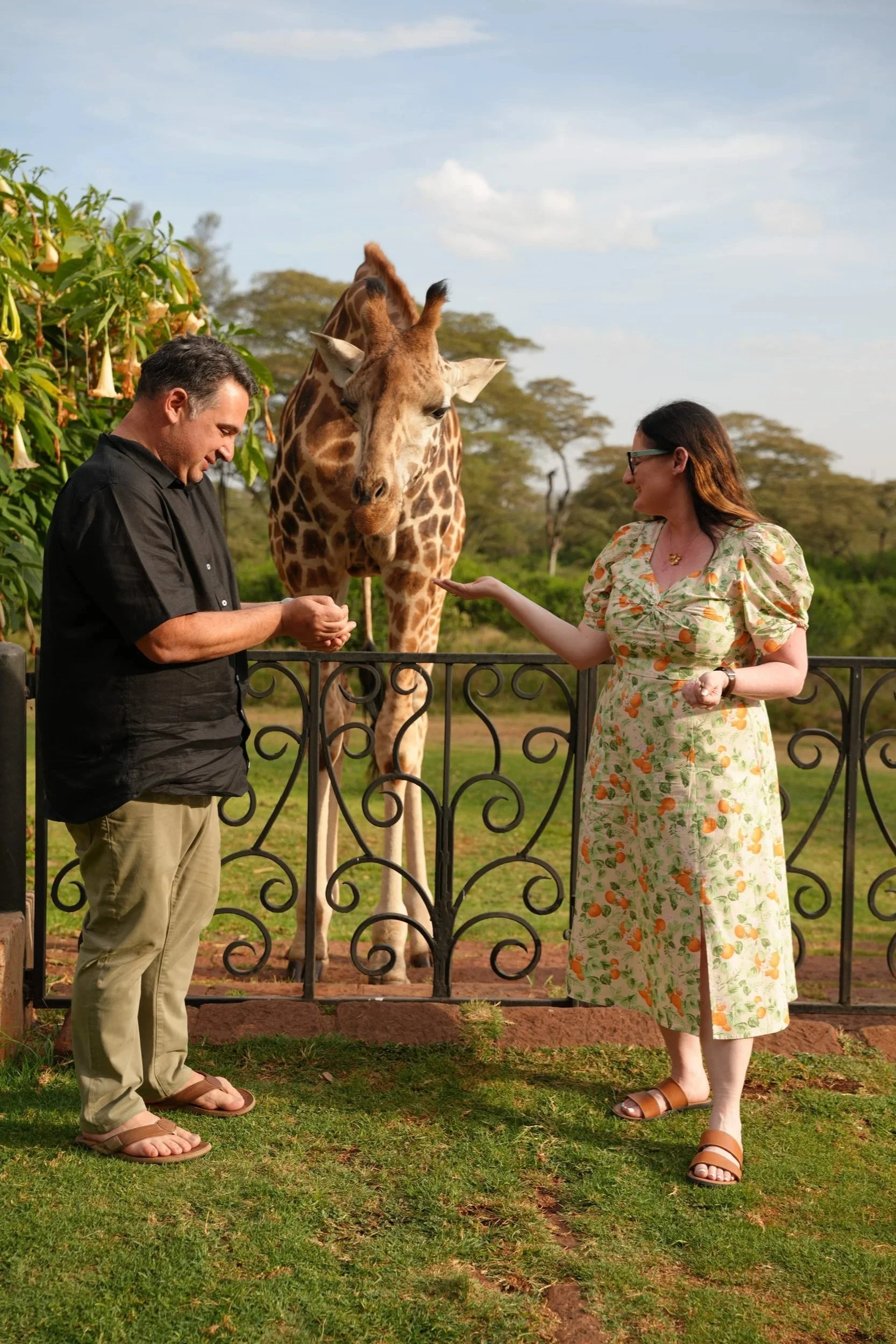 couple feeding giraffes