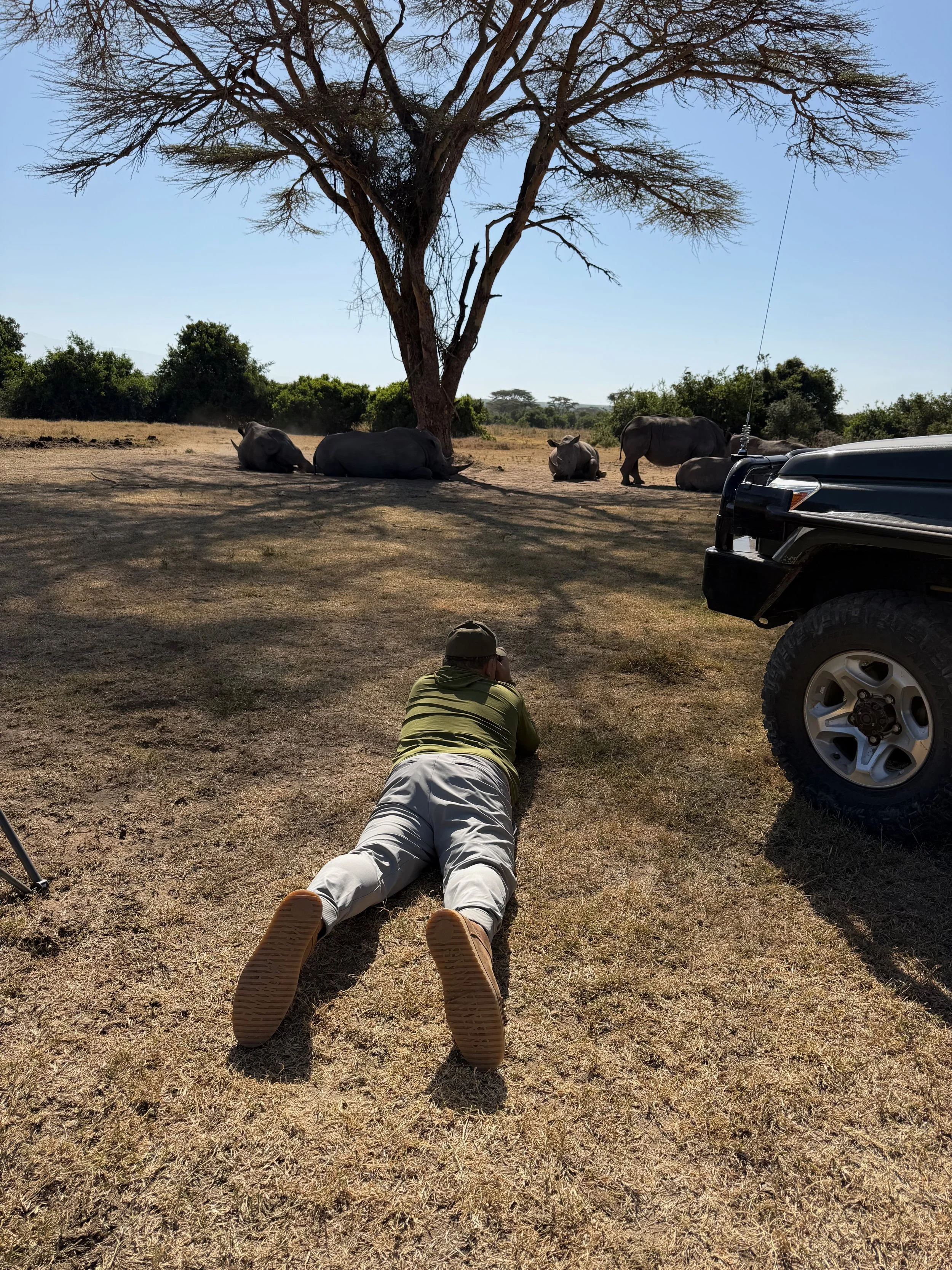 man enjoying with rhinos