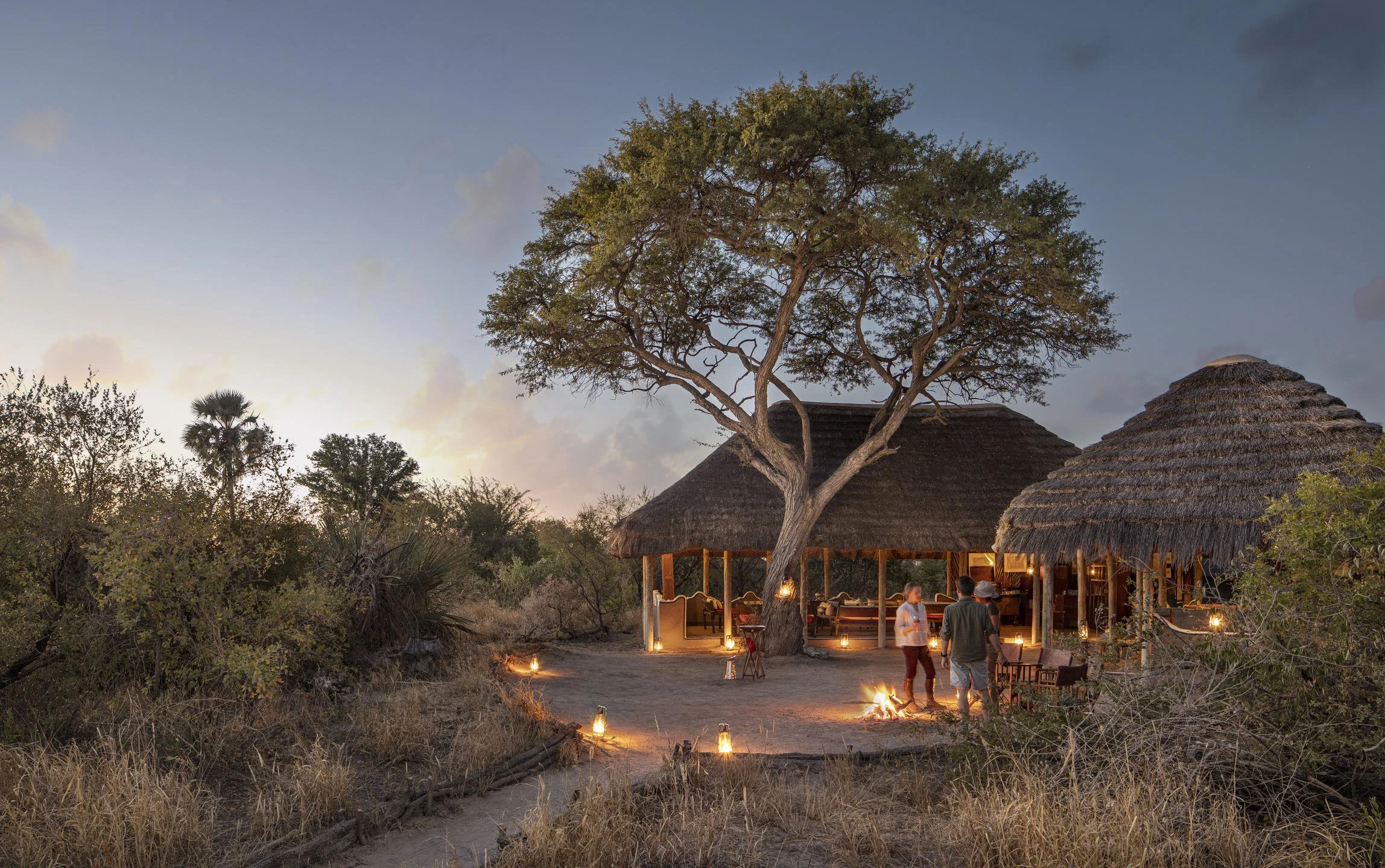 Thatched-roof main area of Camp Kalahari beneath a large tree at dusk in the Makgadikgadi Pans