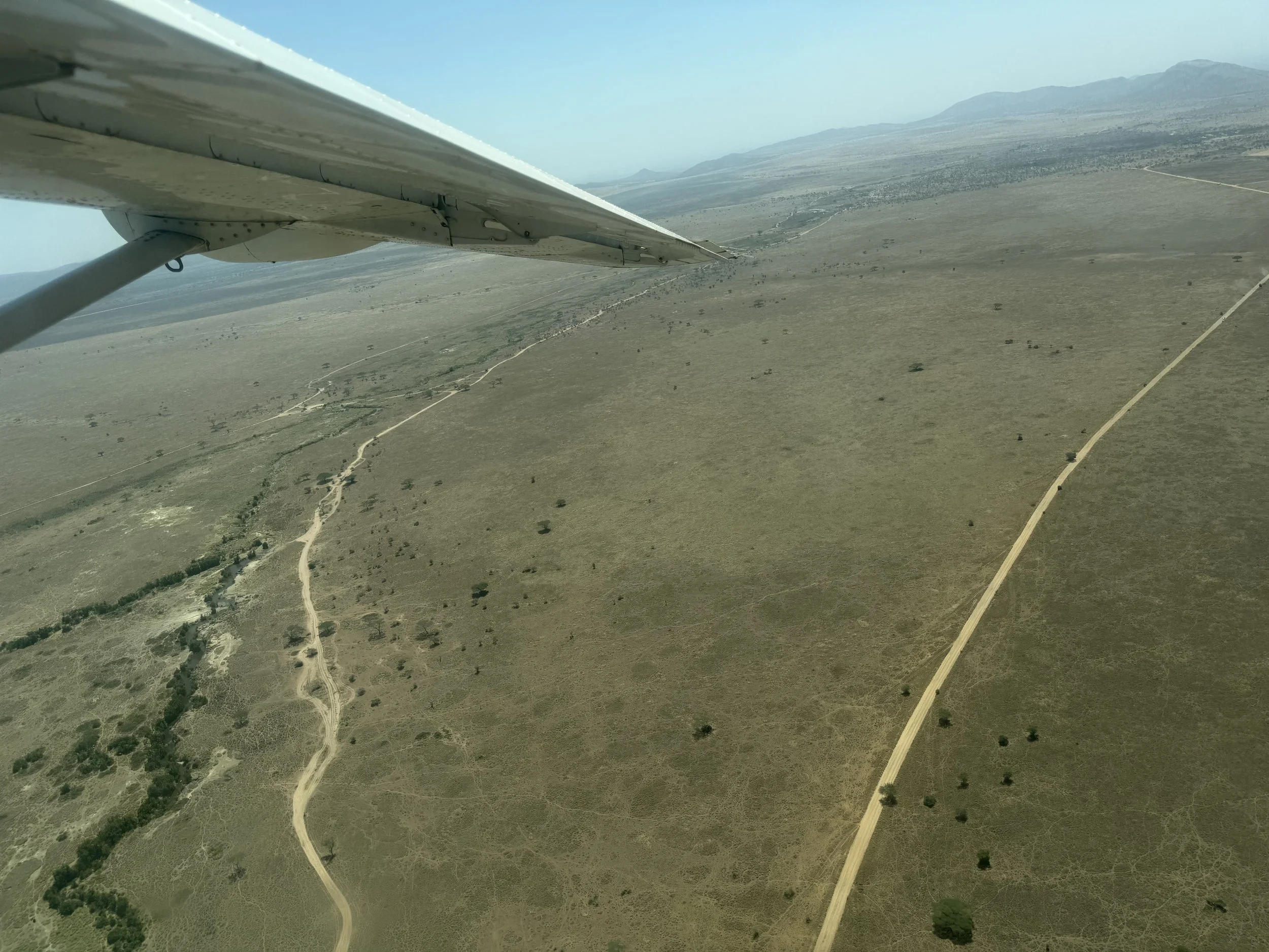 Aerial view of the plains and dirt tracks of the Serengeti's Western Corridor from a light aircraft on the flight to the Grumeti airstrip