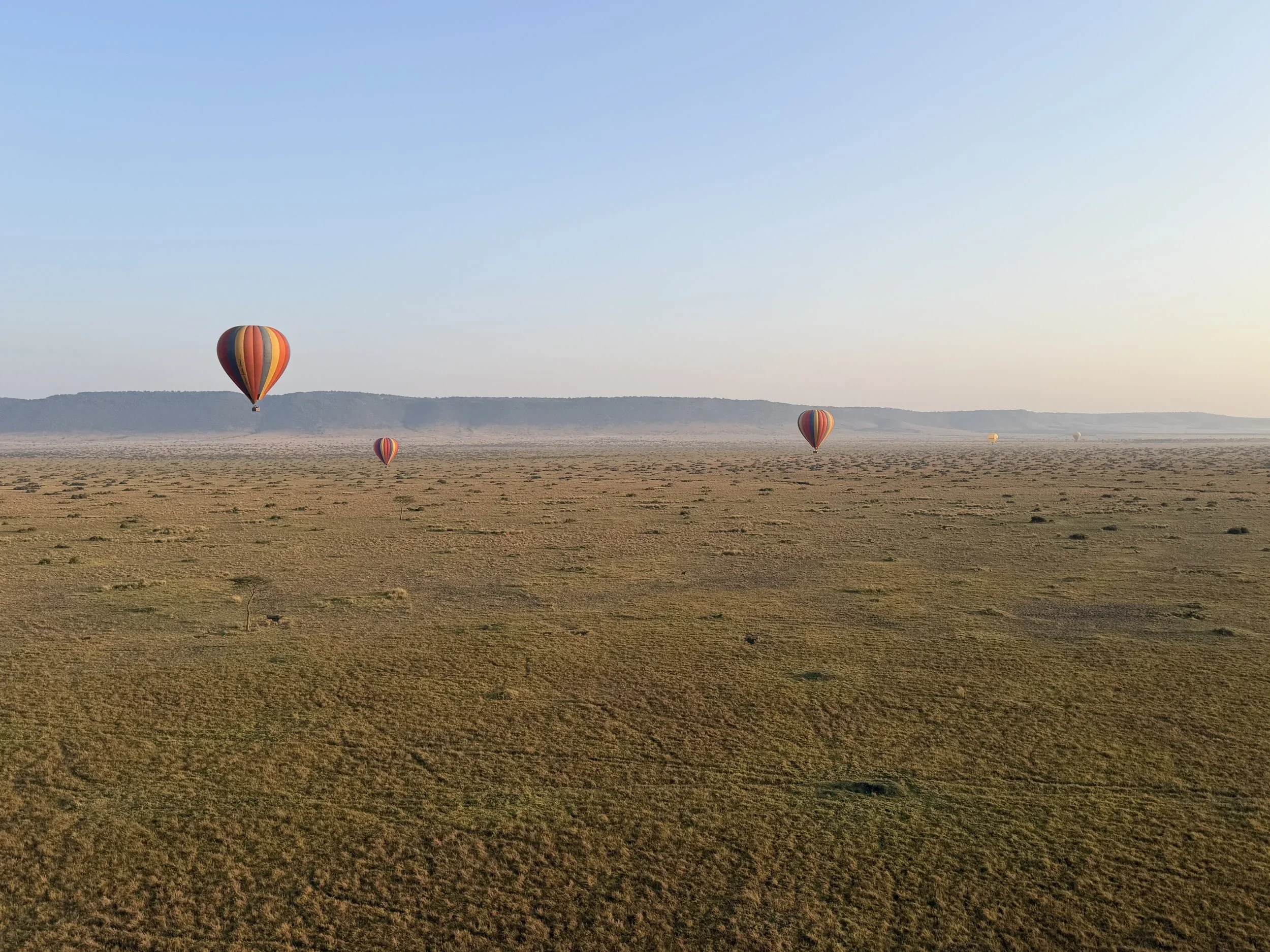 Hot-air balloons over the plains of the Mara Triangle near Wilderness Mara