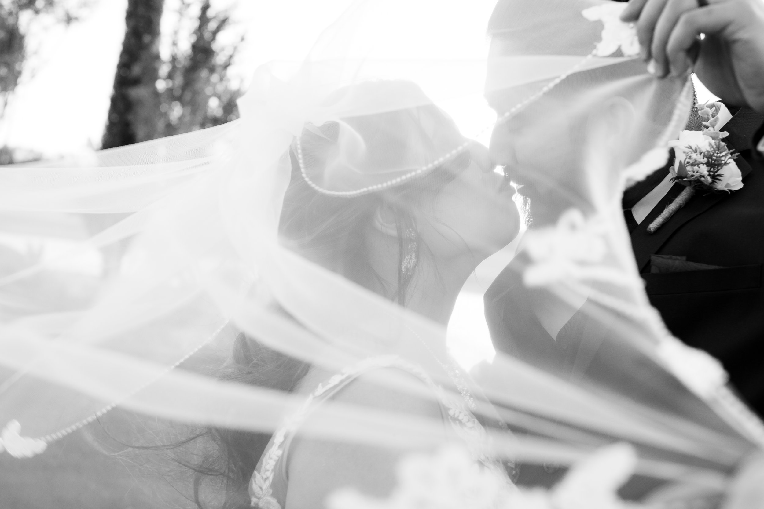 HB2A6758-3.jpg