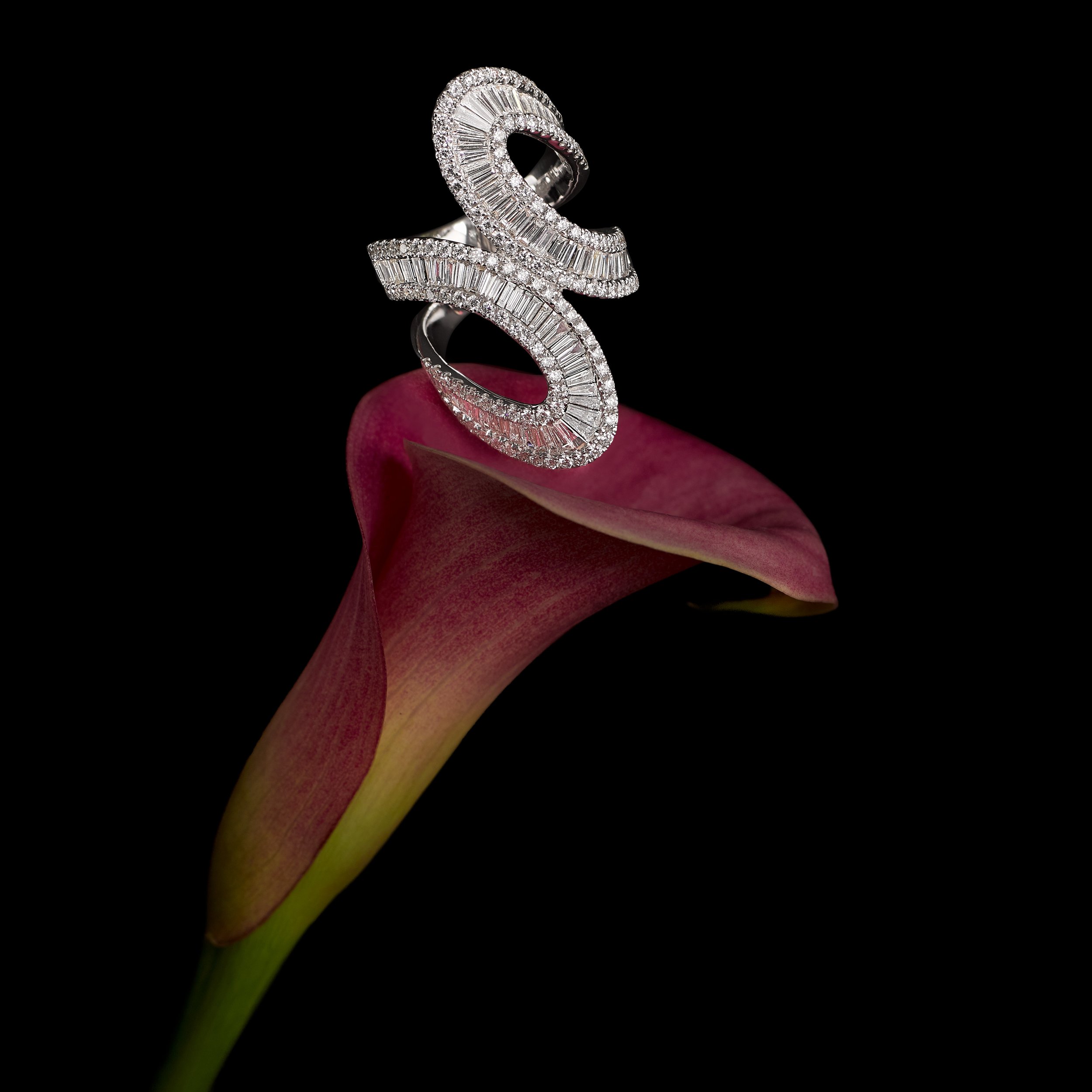 942409-UNL-US-46657-Forever-Diamonds.jpg