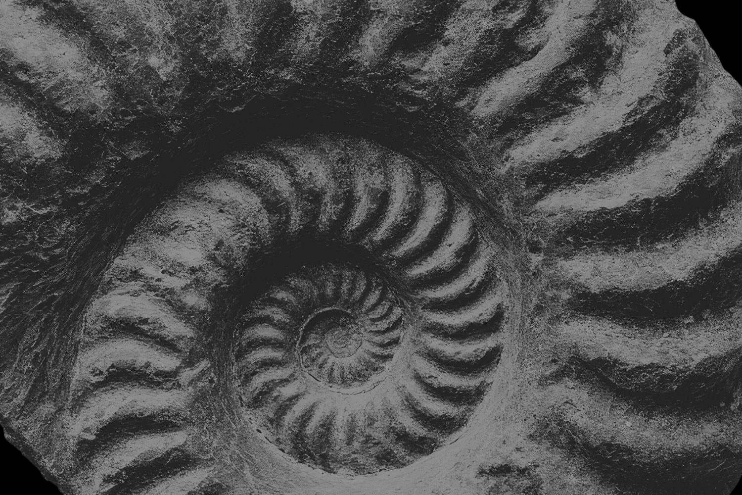 Healing Isn't Linear—It's Spiralic: Why the Same Wound Keeps Coming Back