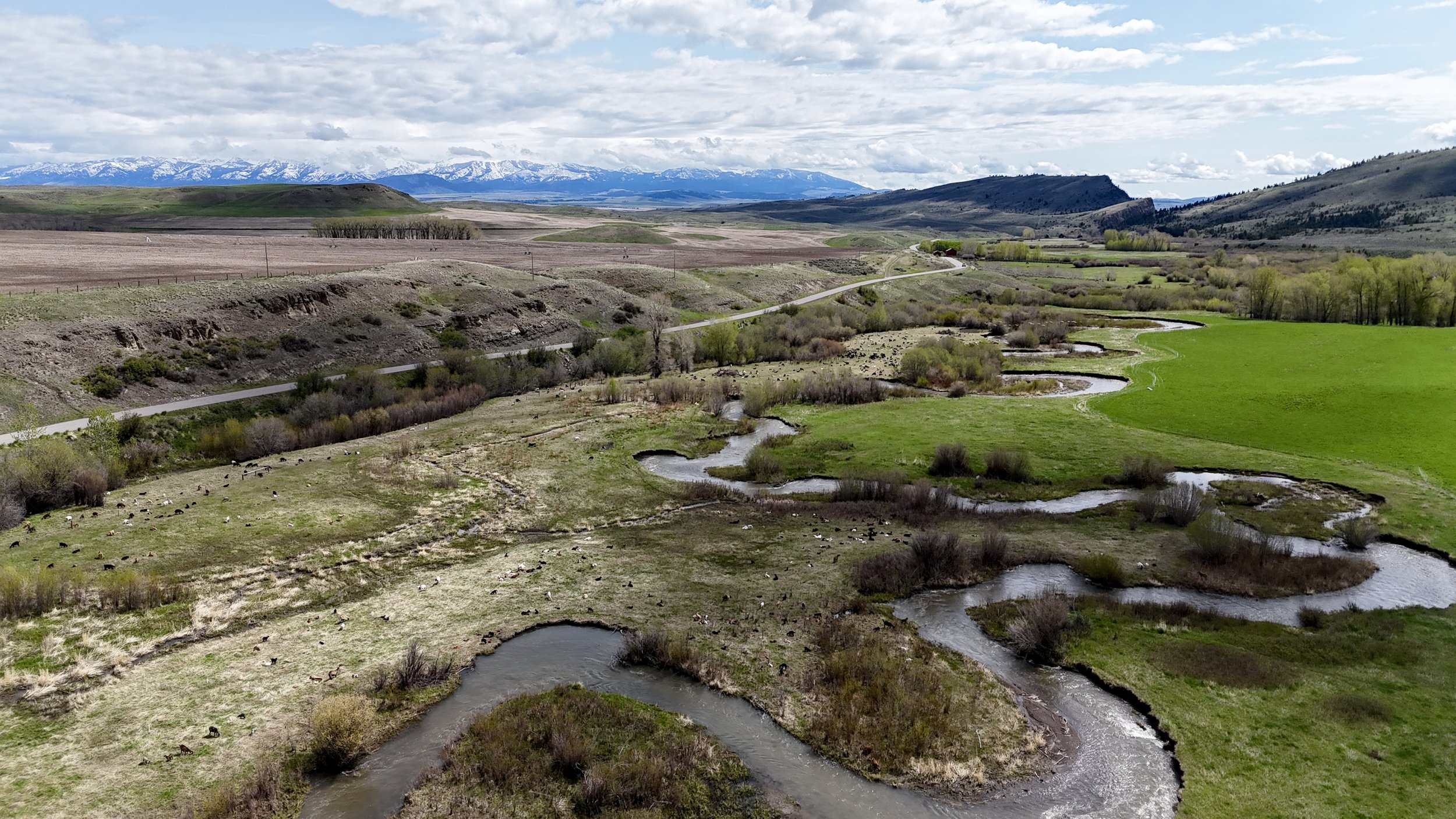 dji_fly_20250517_110824_0099_1747501929084_photo.jpg