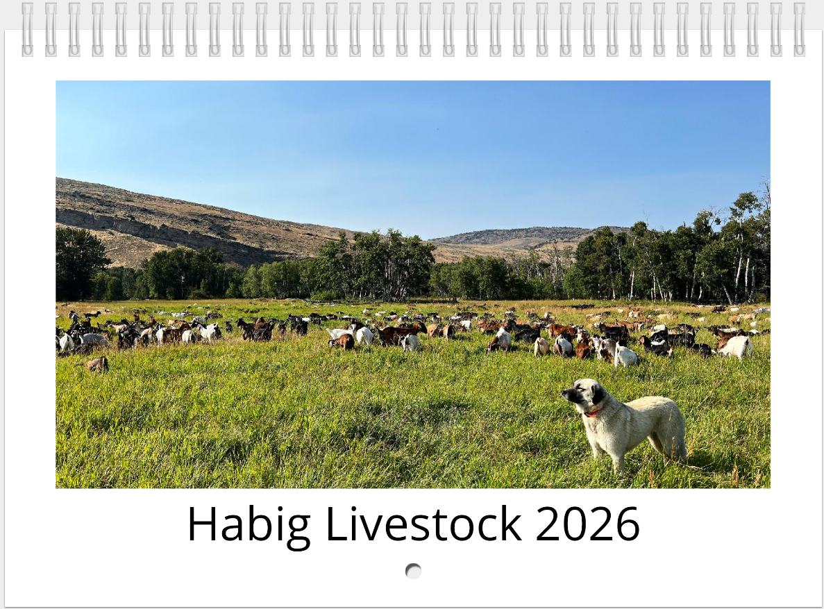 2026 Habig Livestock Photo Calendar