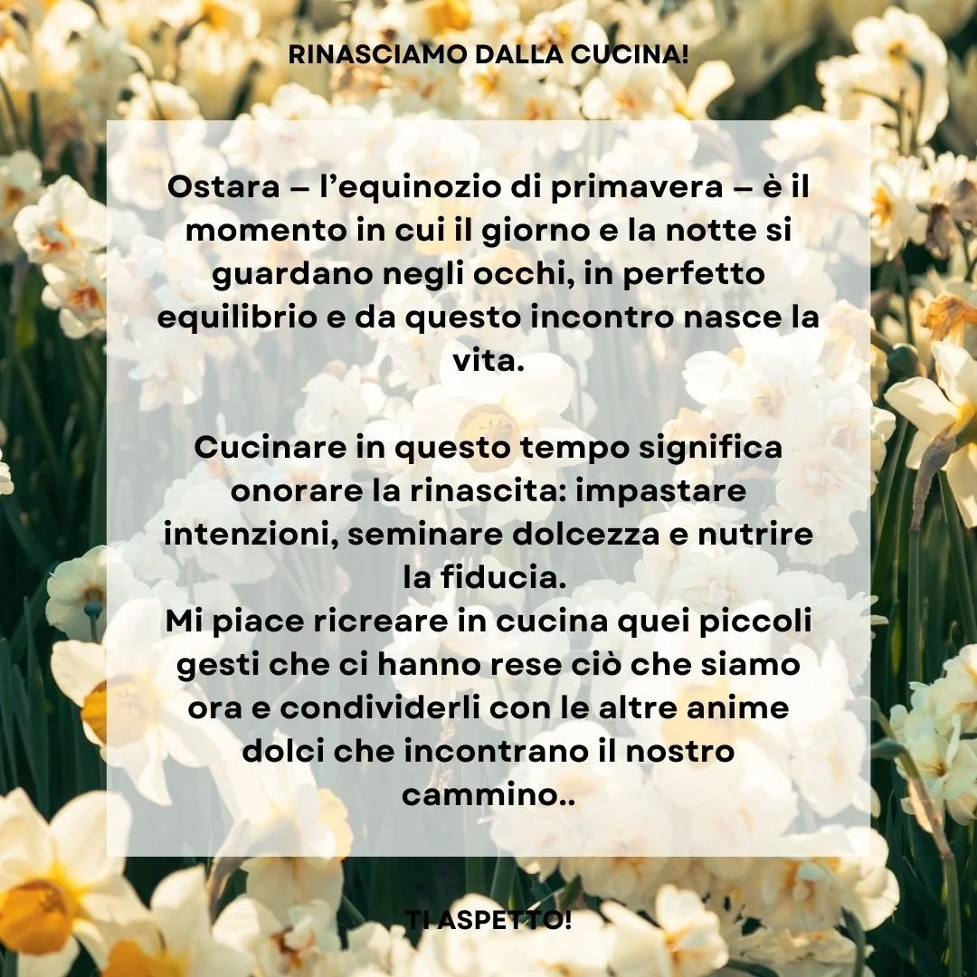 Caroselli x instagram (19).jpg