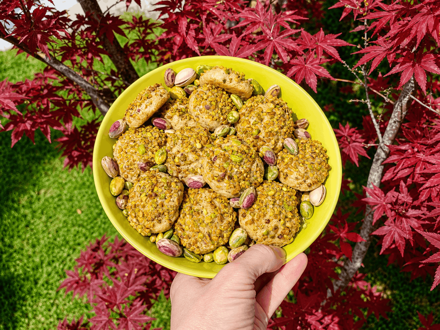 Verdi come la primavera
