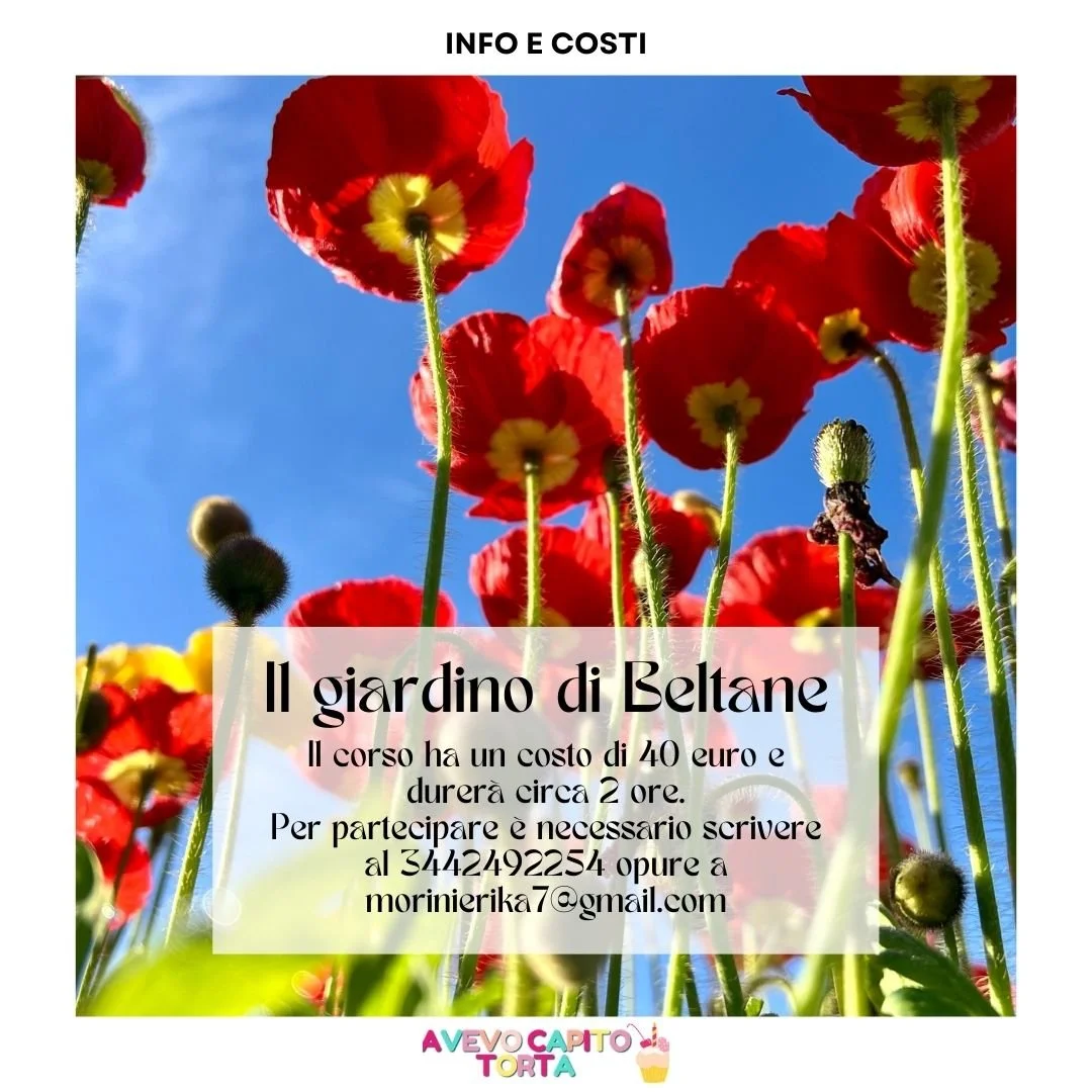 Caroselli x instagram (40).jpg