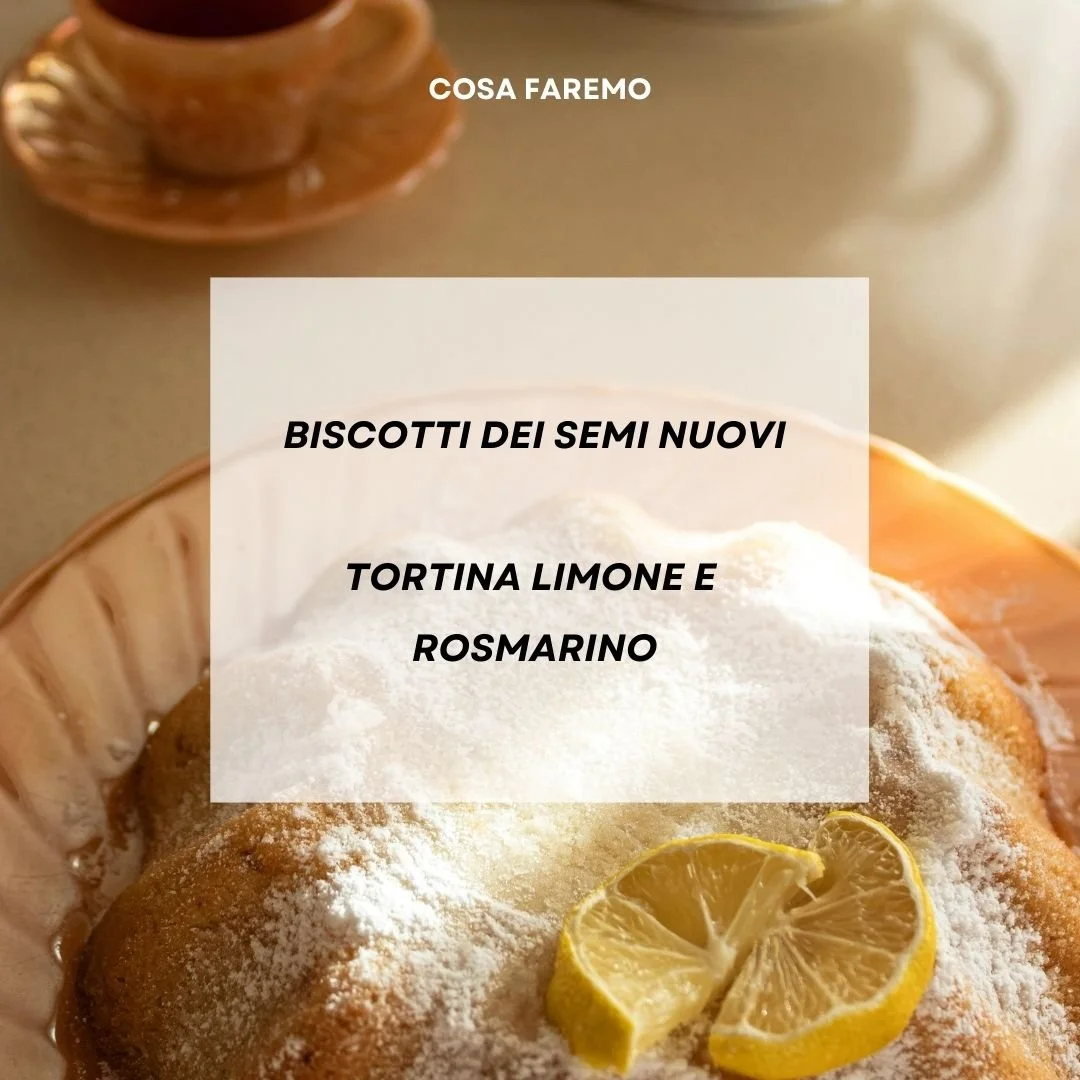 Caroselli x instagram (20).jpg