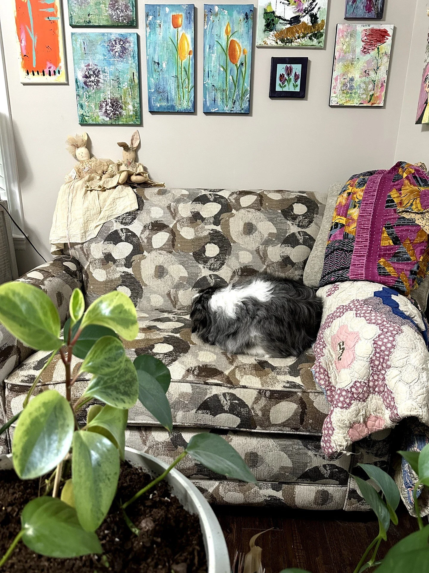 🐦&zwj;⬛ Don't sleep through The Crow's Nest! 😂

Can you find Oscar? He's decided blending into the couch and taking a nap sounds better than making art today! 🐾😴

But there's too much creative fun waiting in The Crow's Nest! Nine creative faith l