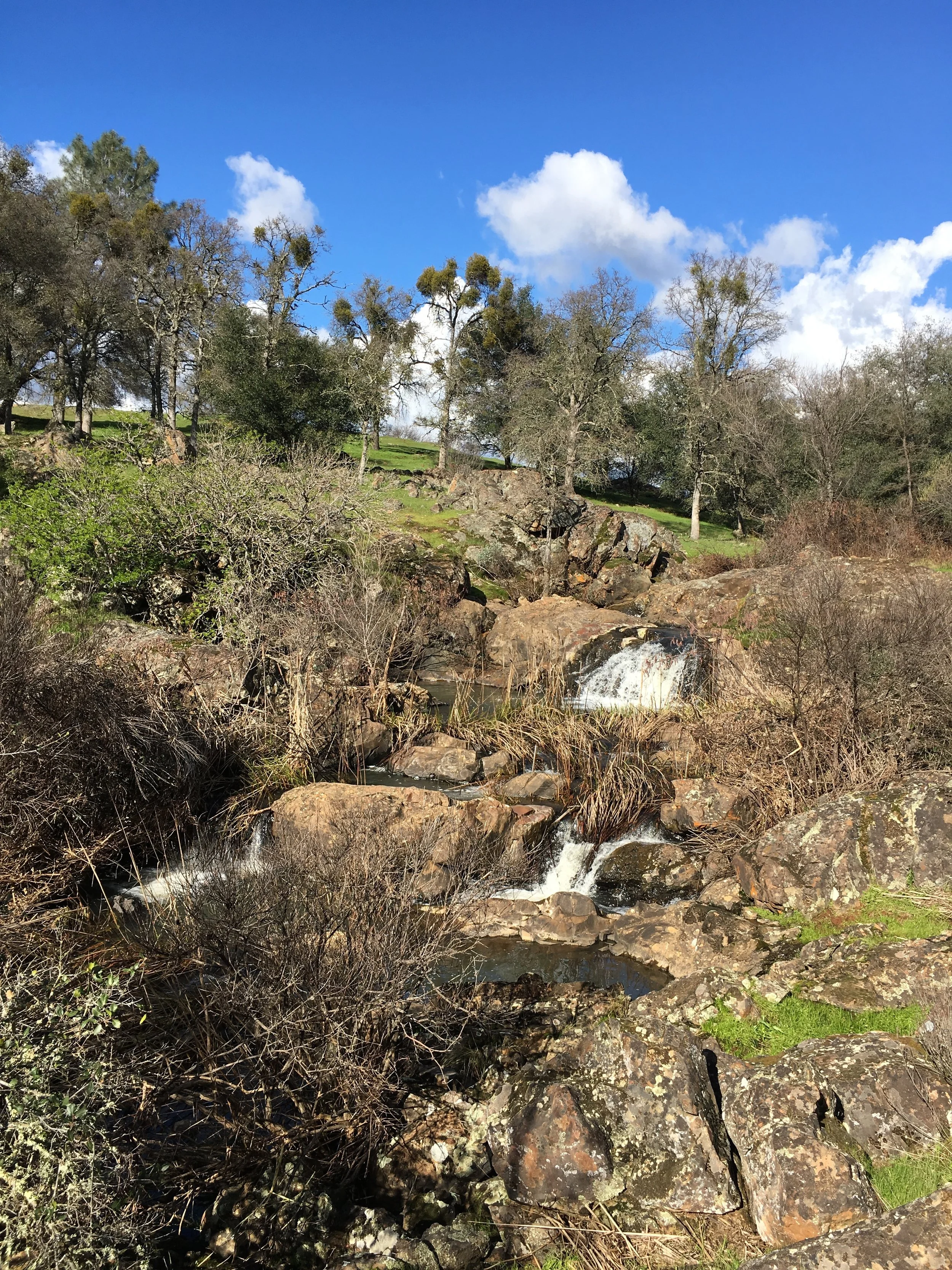 A landscape with a small stream flowing over rocks, surrounded by barren and green trees under a bright blue sky with white clouds.