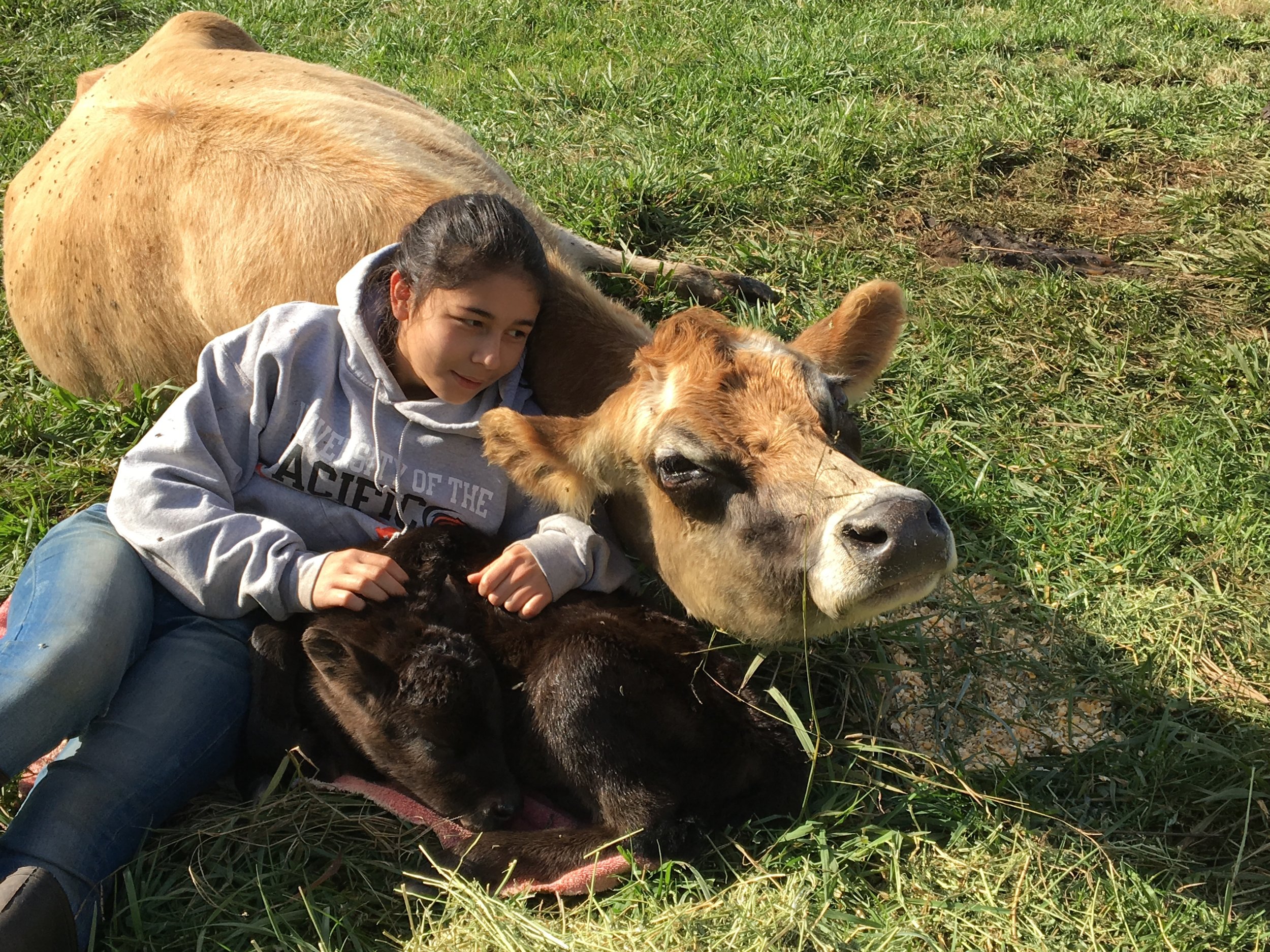 Ali Zeiter with Crystal &amp; her calf in 2016.
